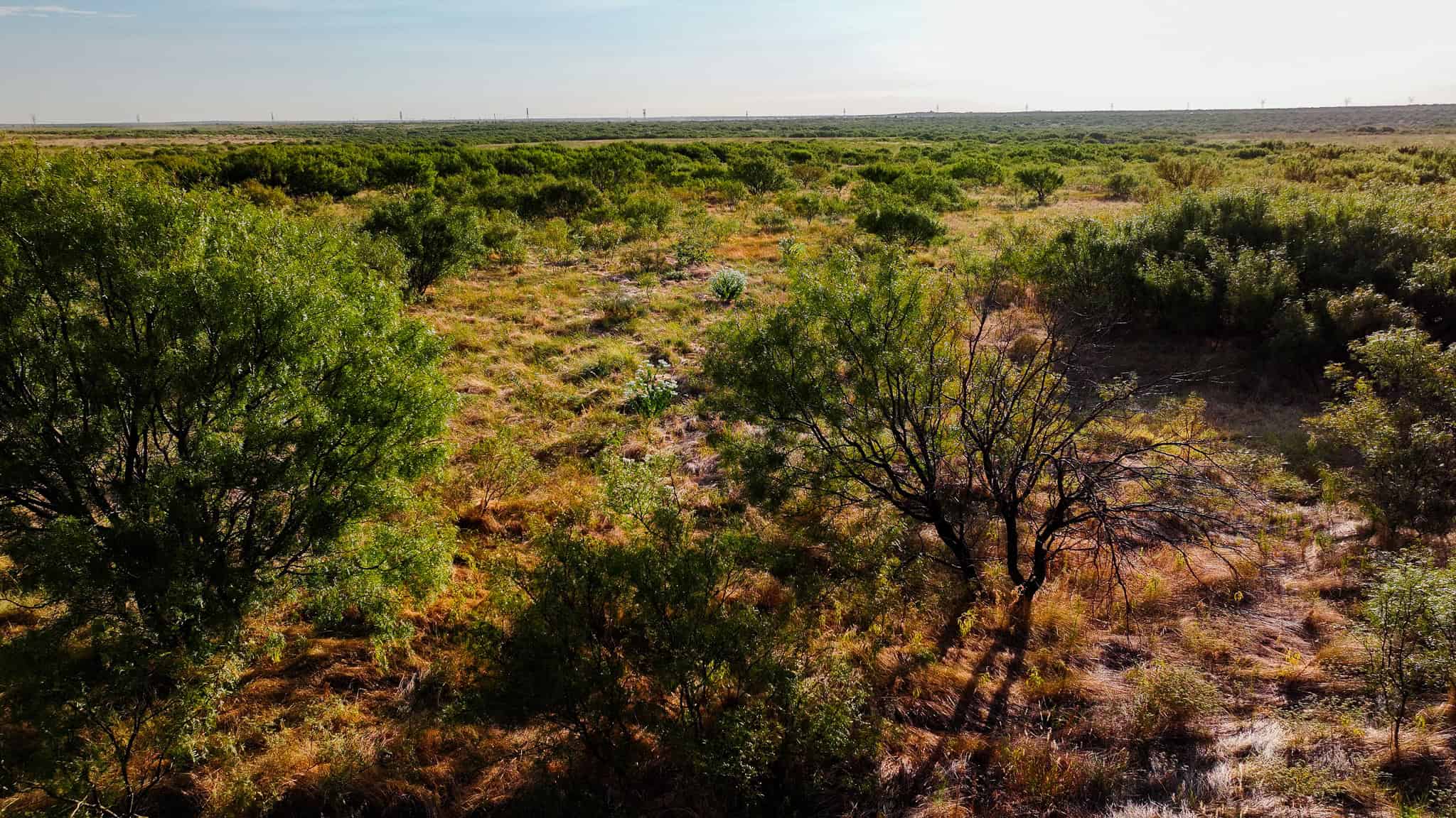 376 acre Recreational Ranch in Wichita County Texas