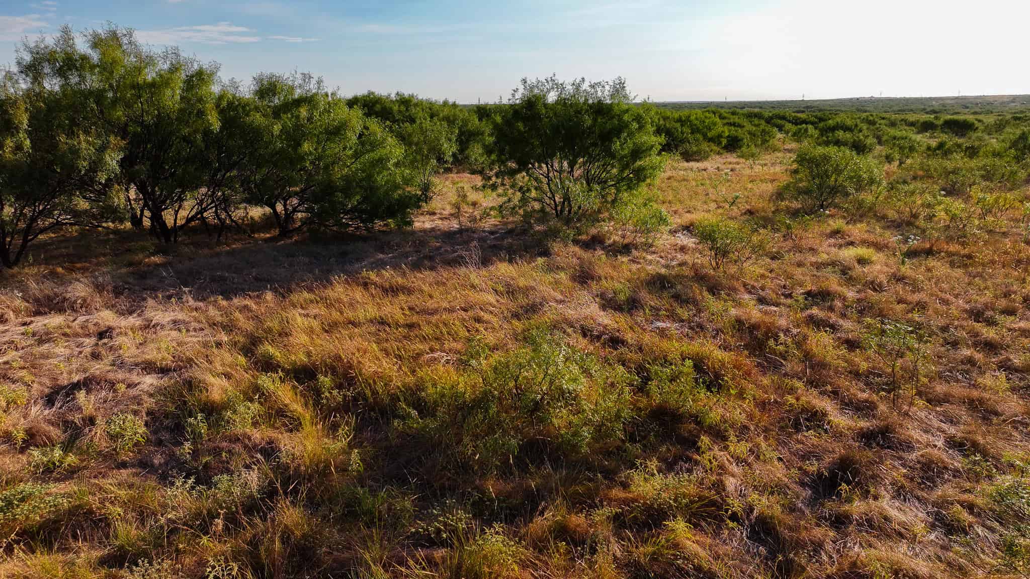 376 acre Recreational Ranch in Wichita County Texas