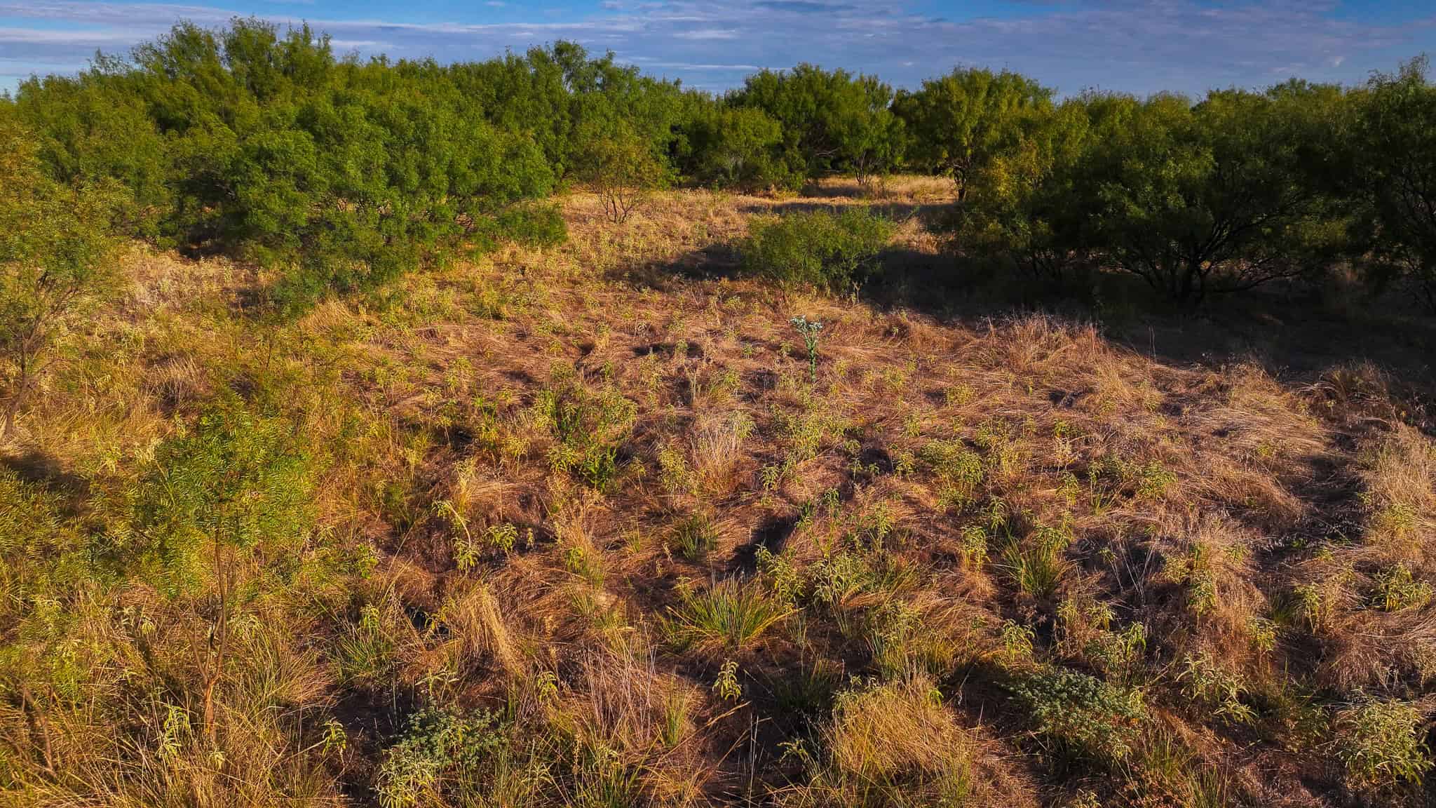 376 acre Recreational Ranch in Wichita County Texas