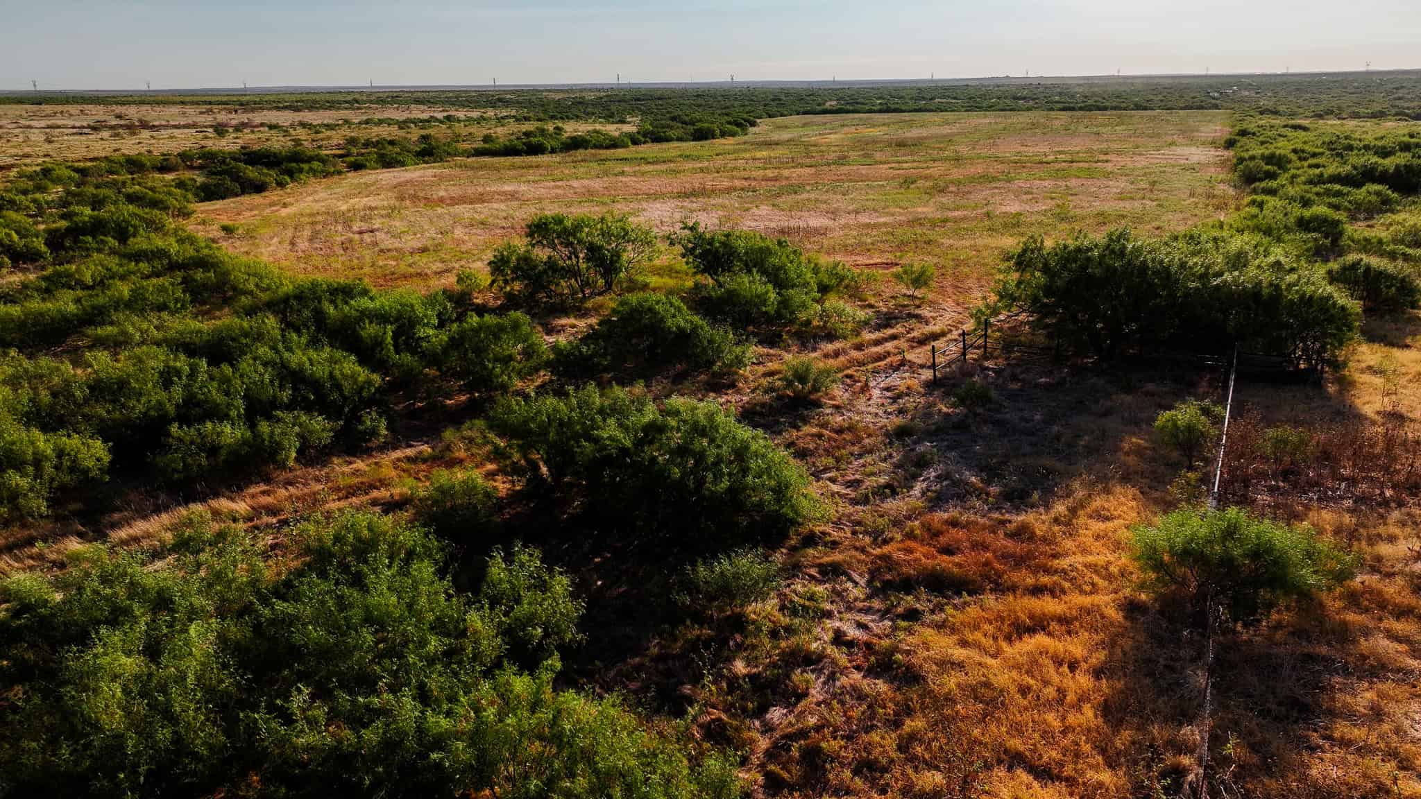376 acre Recreational Ranch in Wichita County Texas