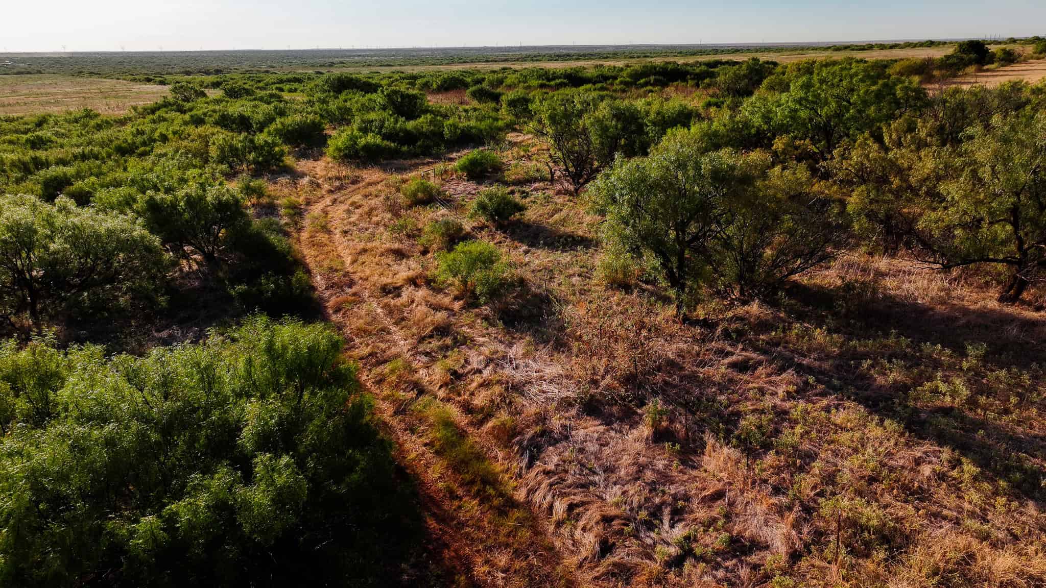 376 acre Recreational Ranch in Wichita County Texas