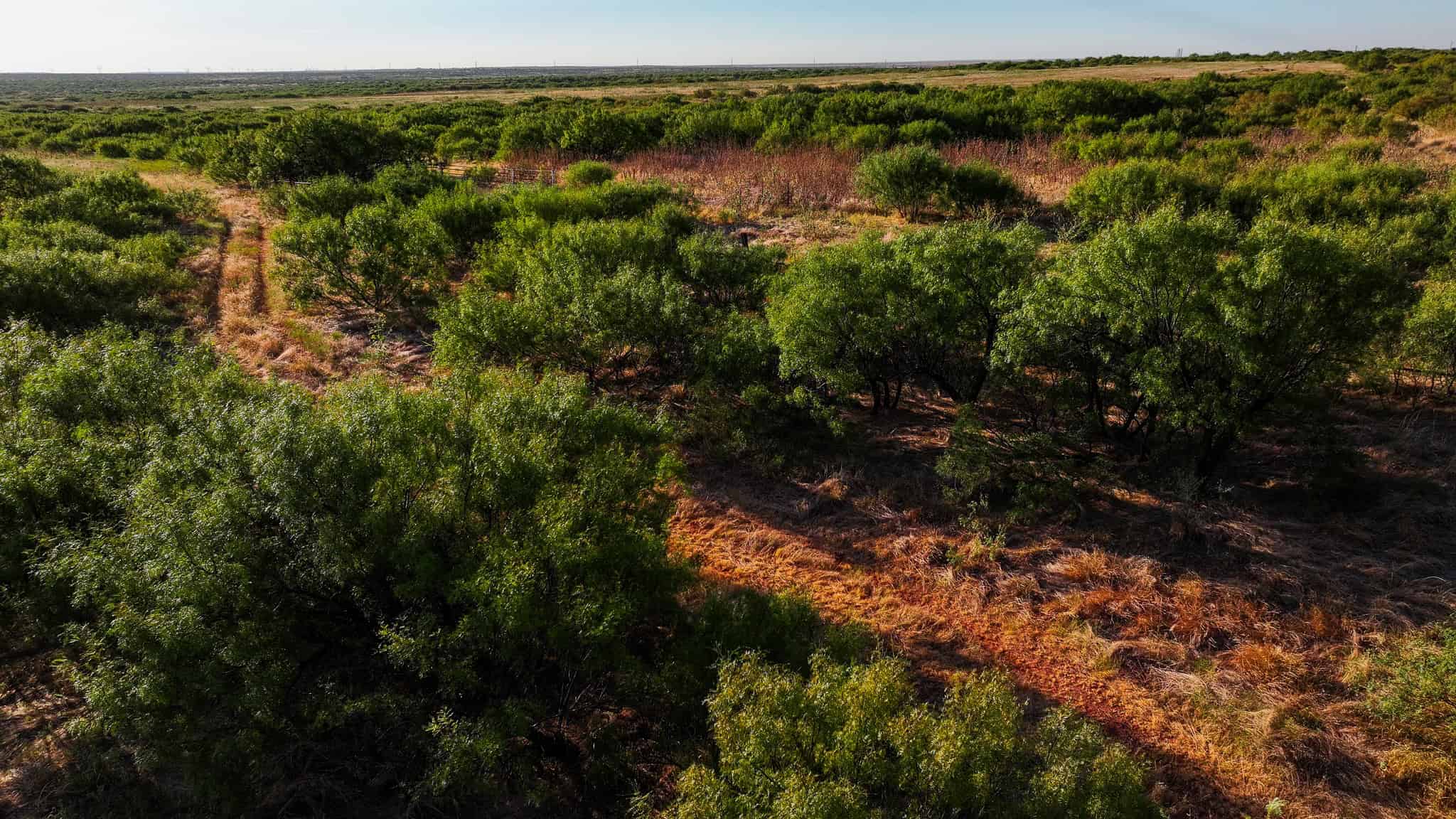 376 acre Recreational Ranch in Wichita County Texas