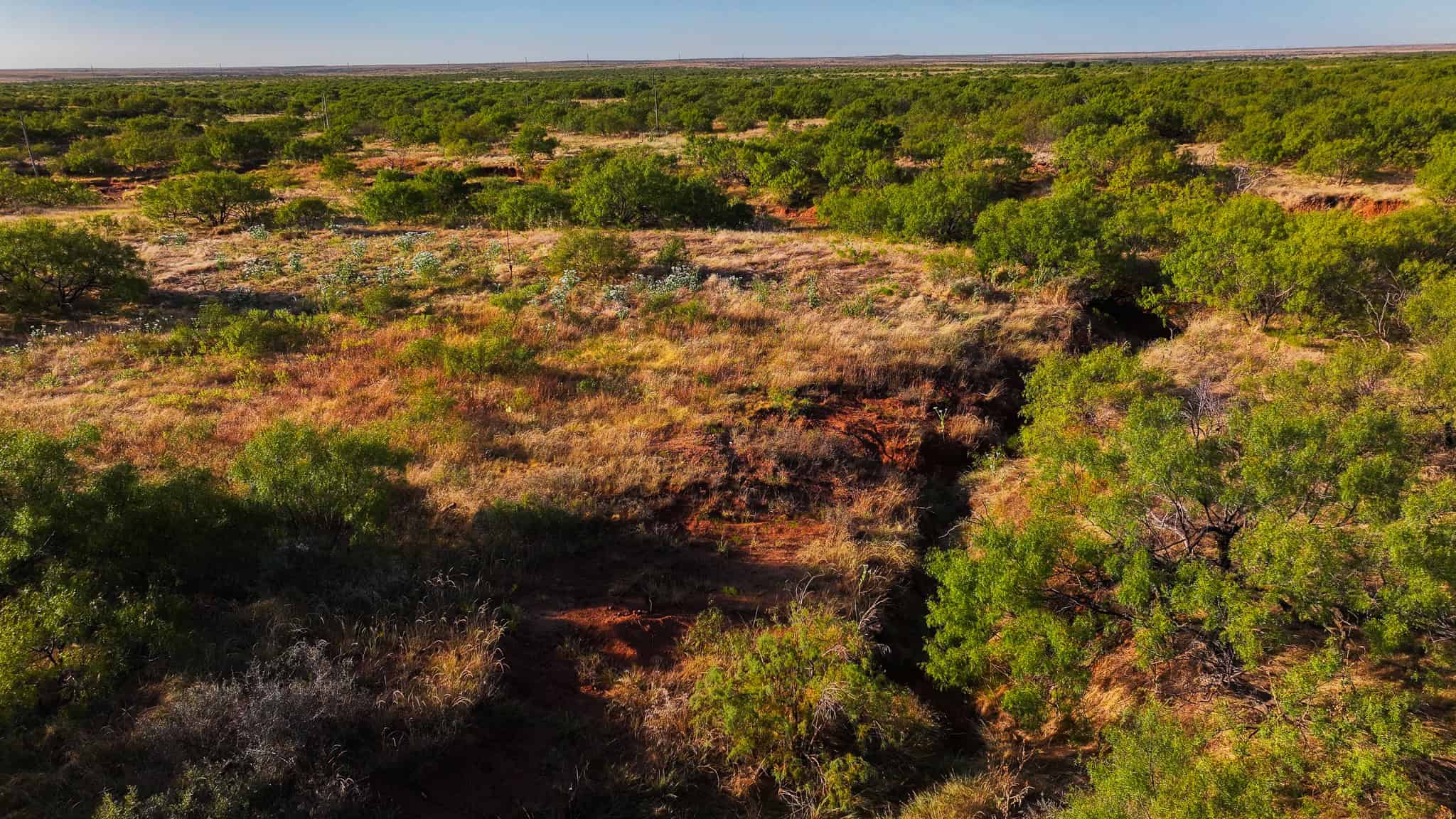 376 acre Recreational Ranch in Wichita County Texas