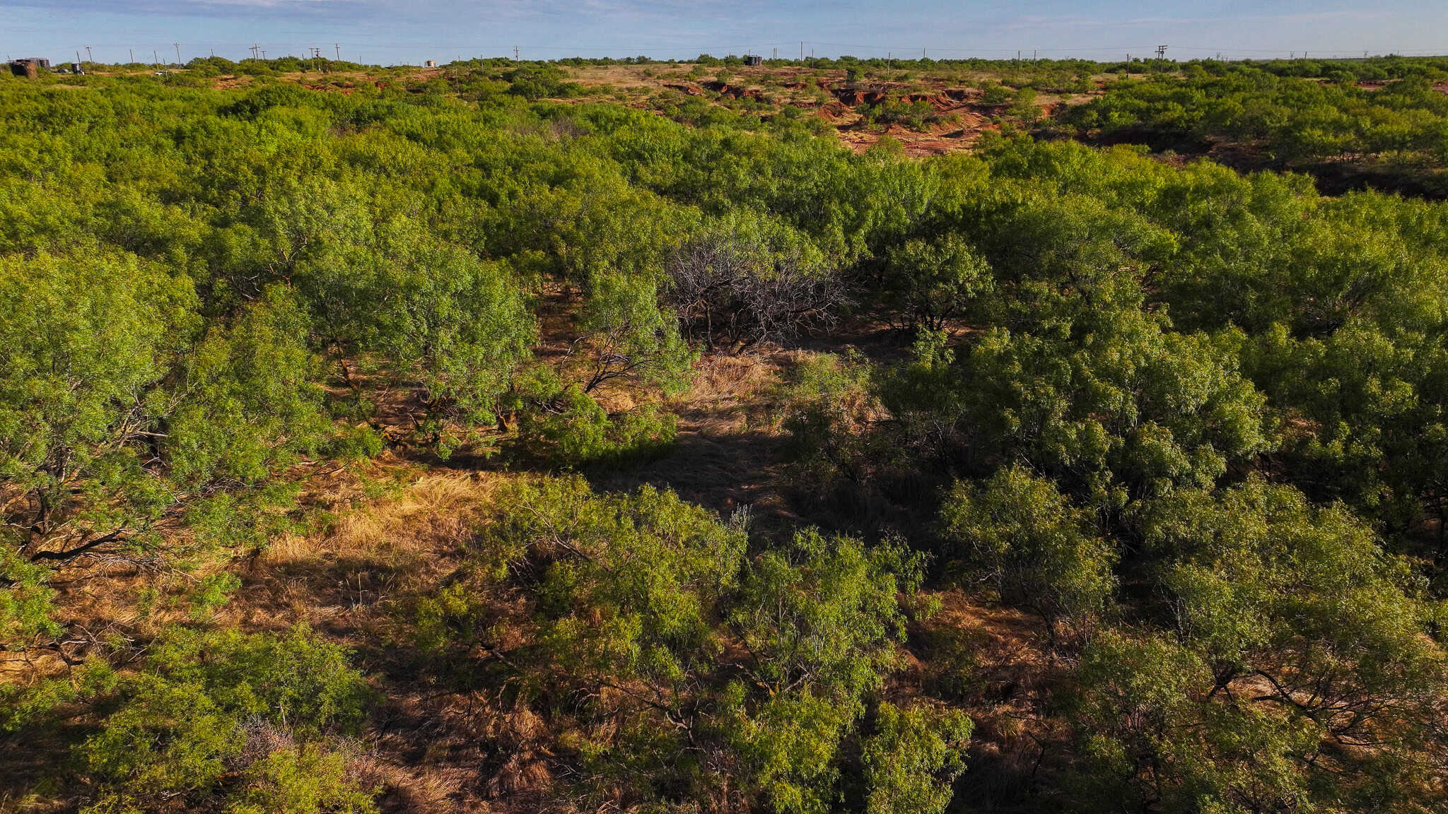 376 acre Recreational Ranch in Wichita County Texas