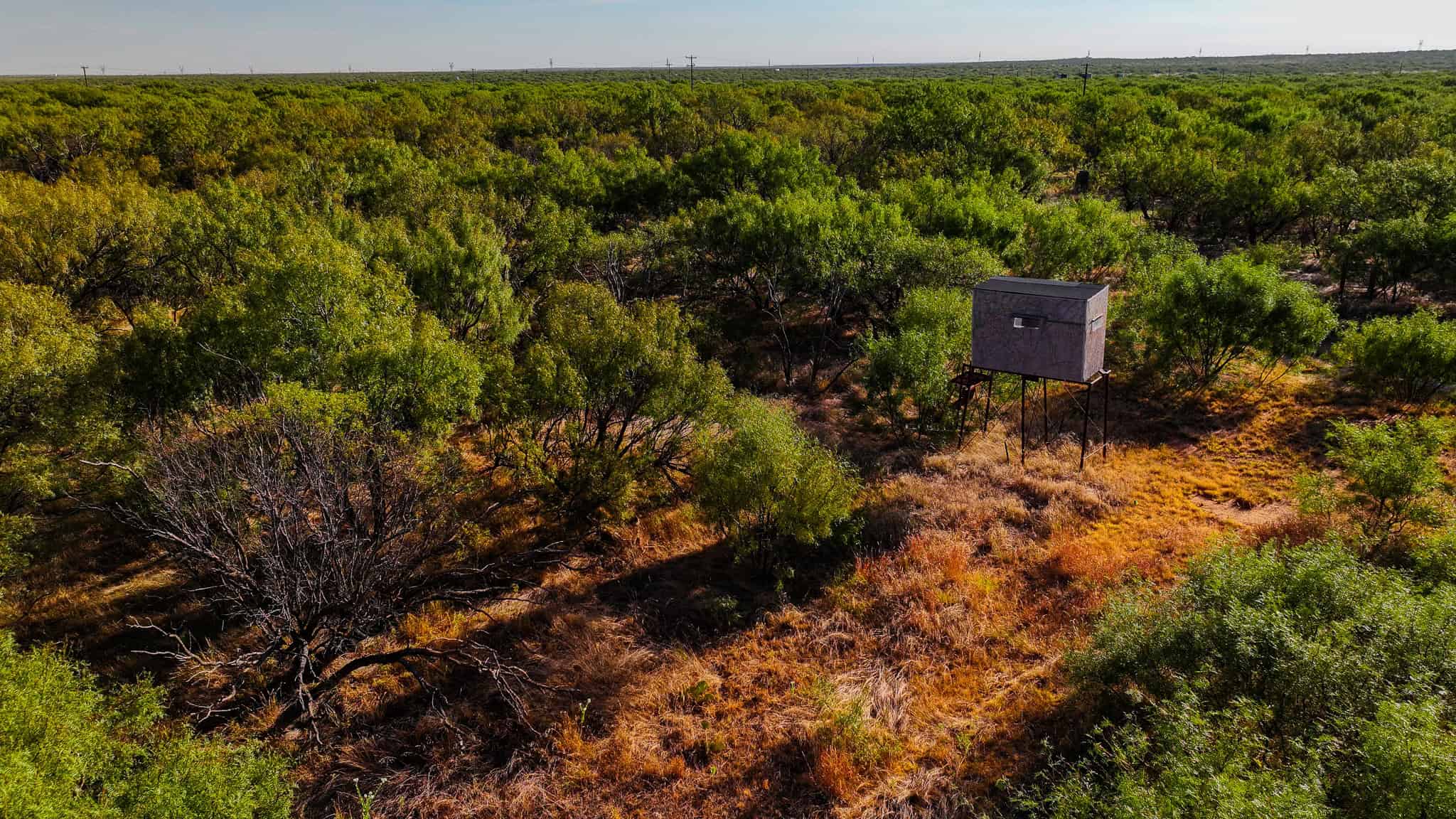 376 acre Recreational Ranch in Wichita County Texas
