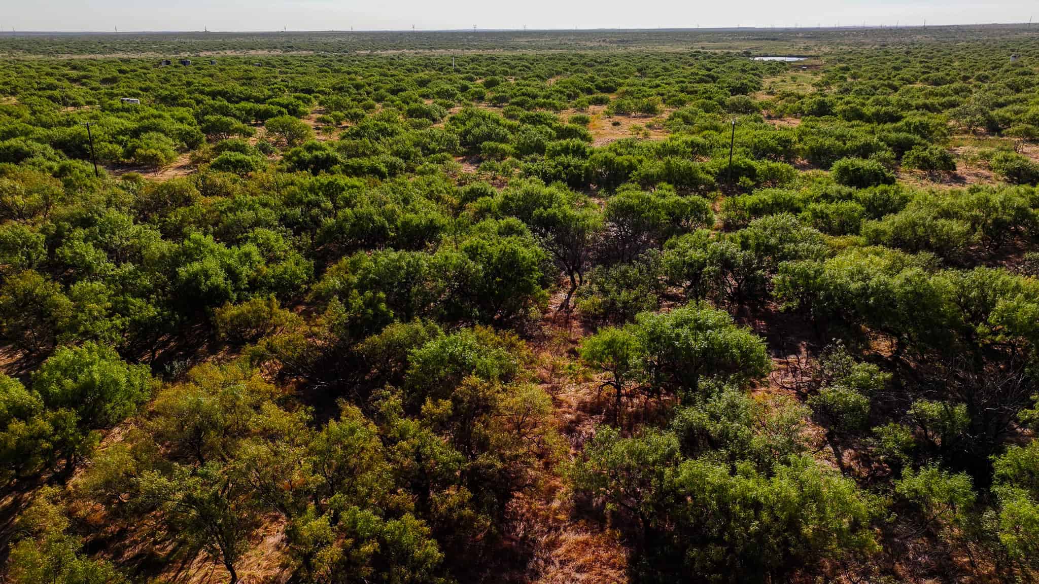 376 acre Recreational Ranch in Wichita County Texas