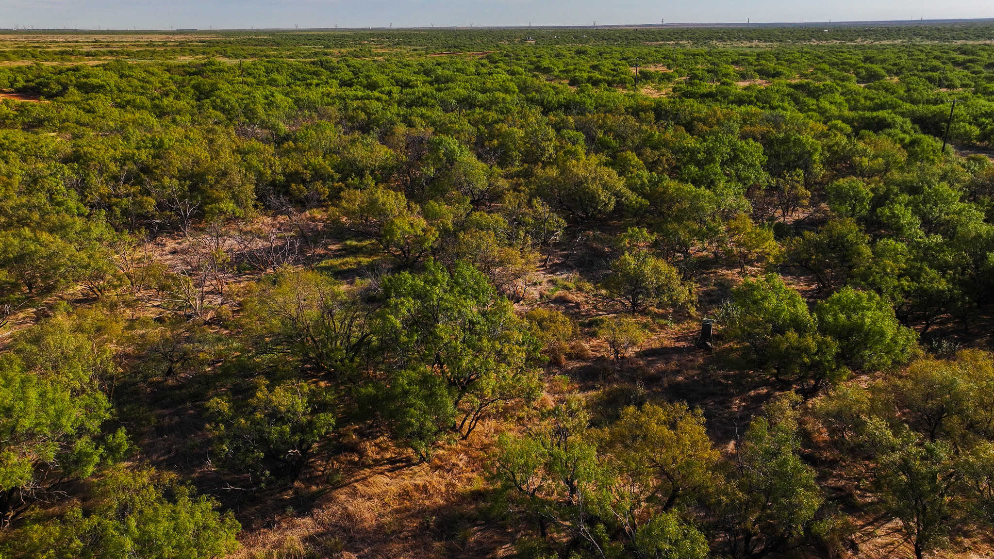 376 acre Recreational Ranch in Wichita County Texas