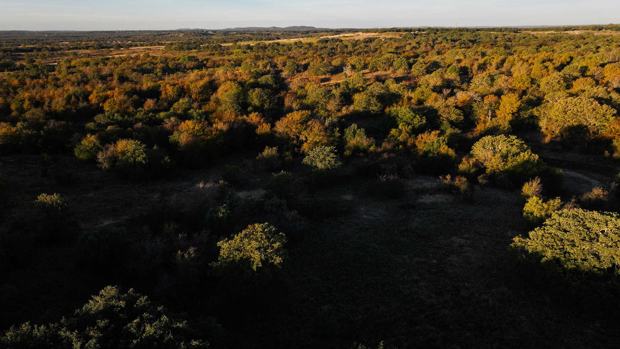 985 acre Hunting and Cattle Ranch in Jack County Texas