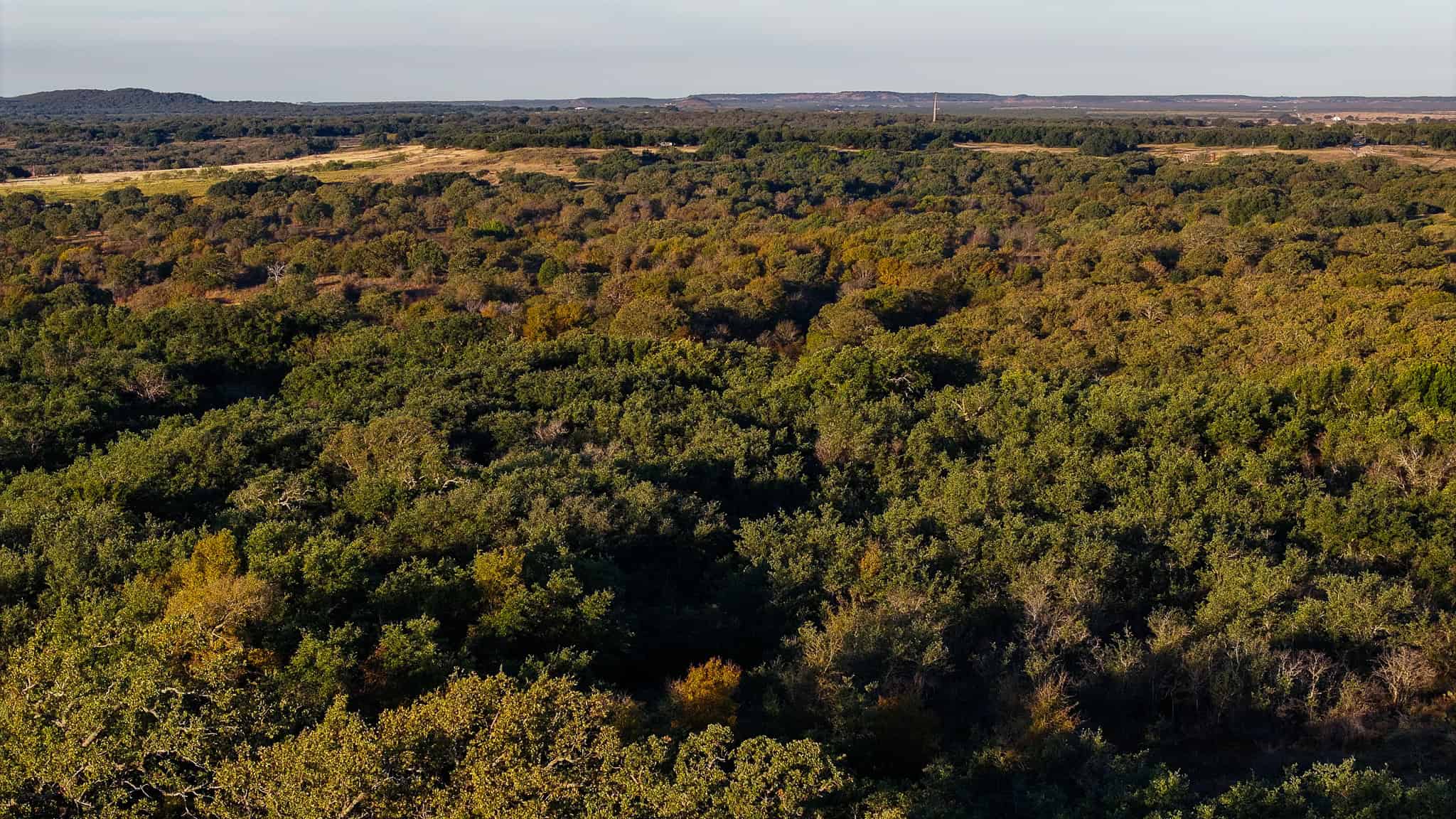985 acre Hunting and Cattle Ranch in Jack County Texas