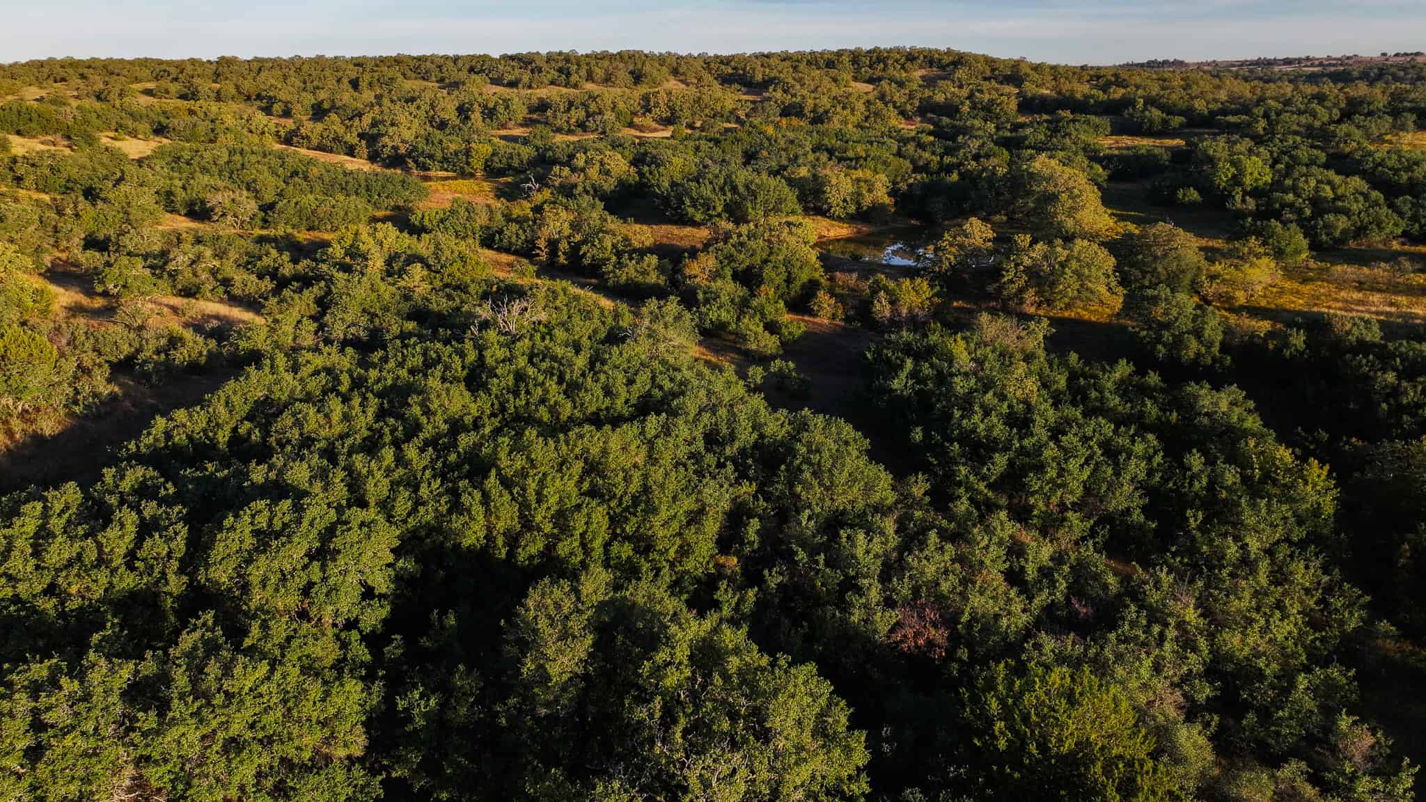 985 acre Hunting and Cattle Ranch in Jack County Texas