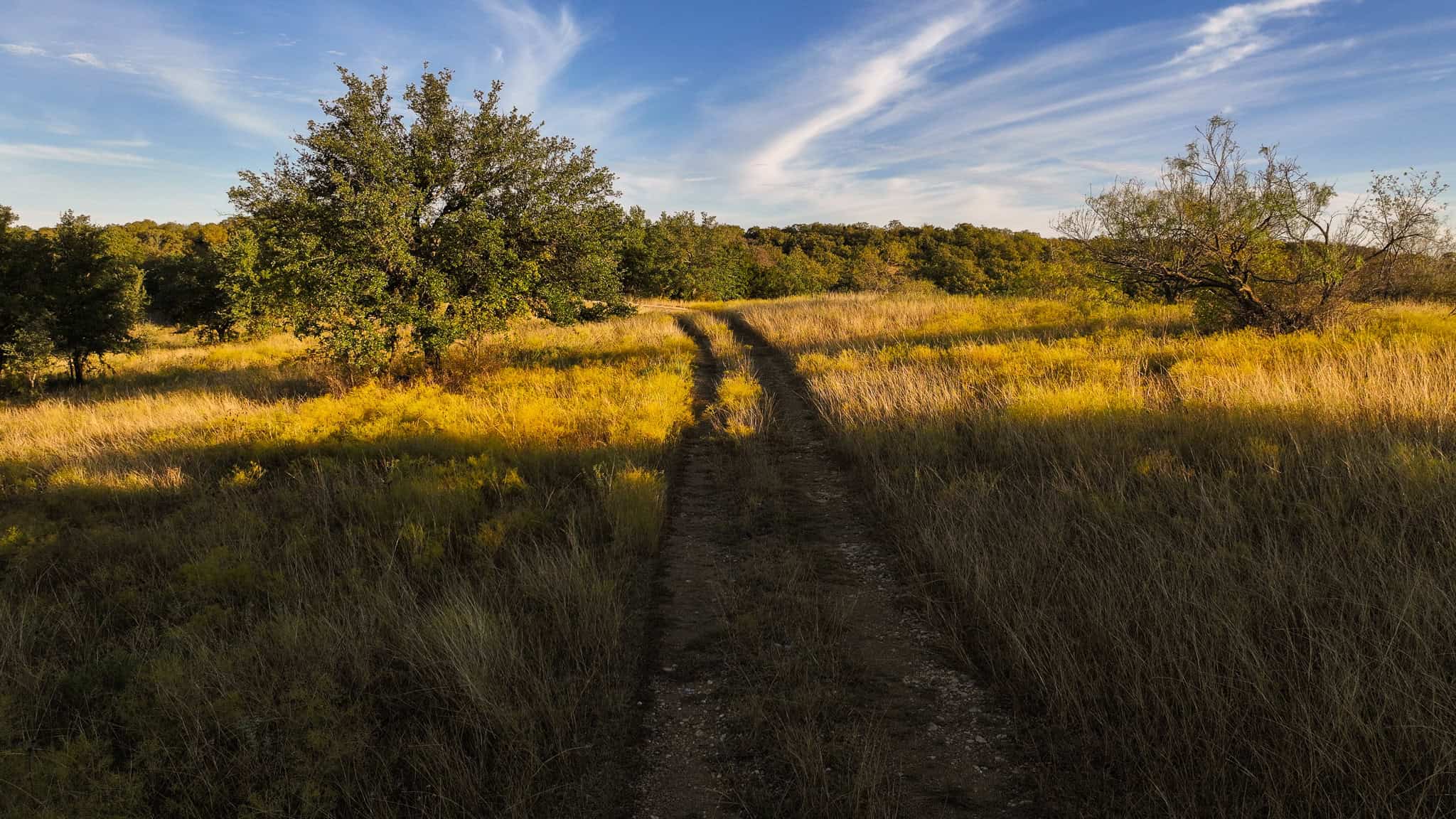 985 acre Hunting and Cattle Ranch in Jack County Texas