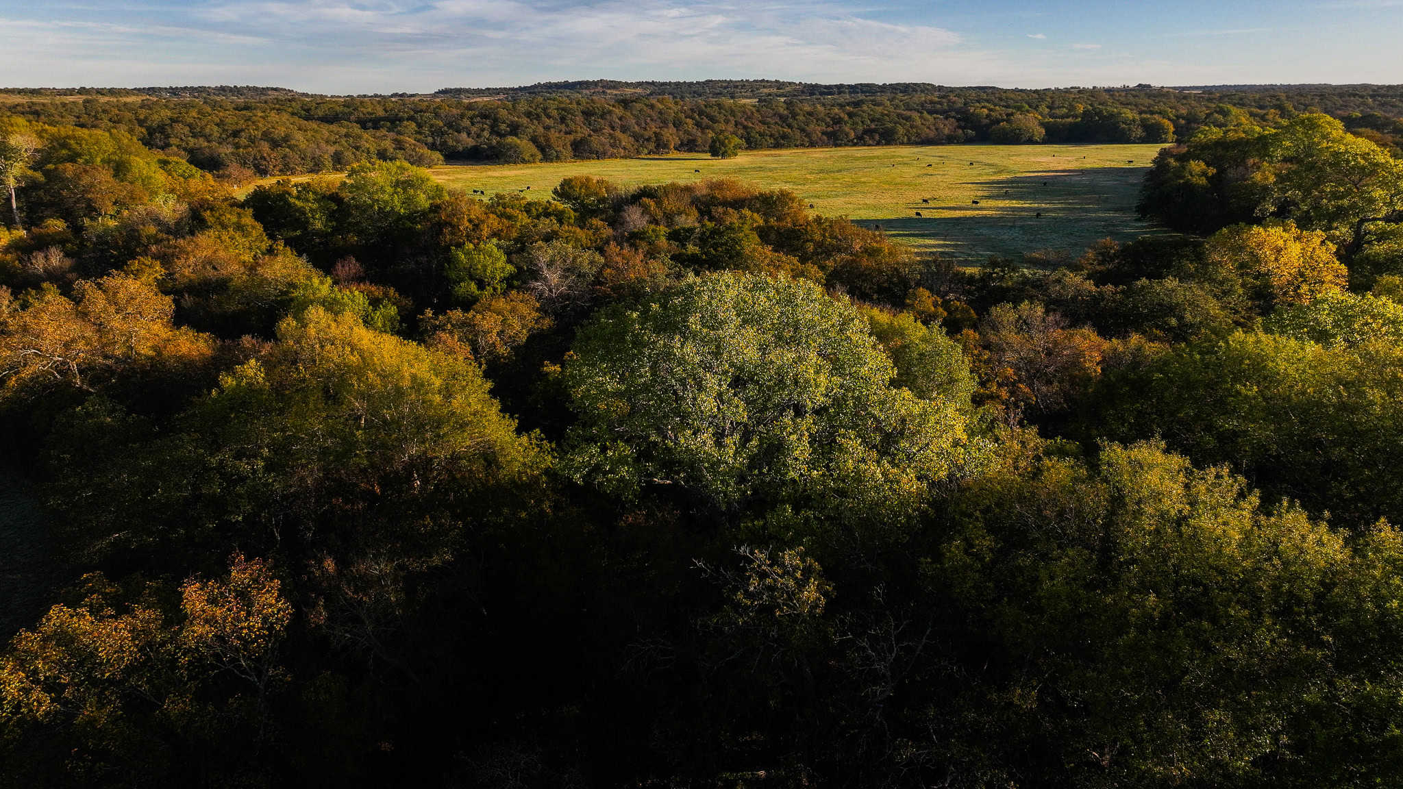 985 acre Hunting and Cattle Ranch in Jack County Texas