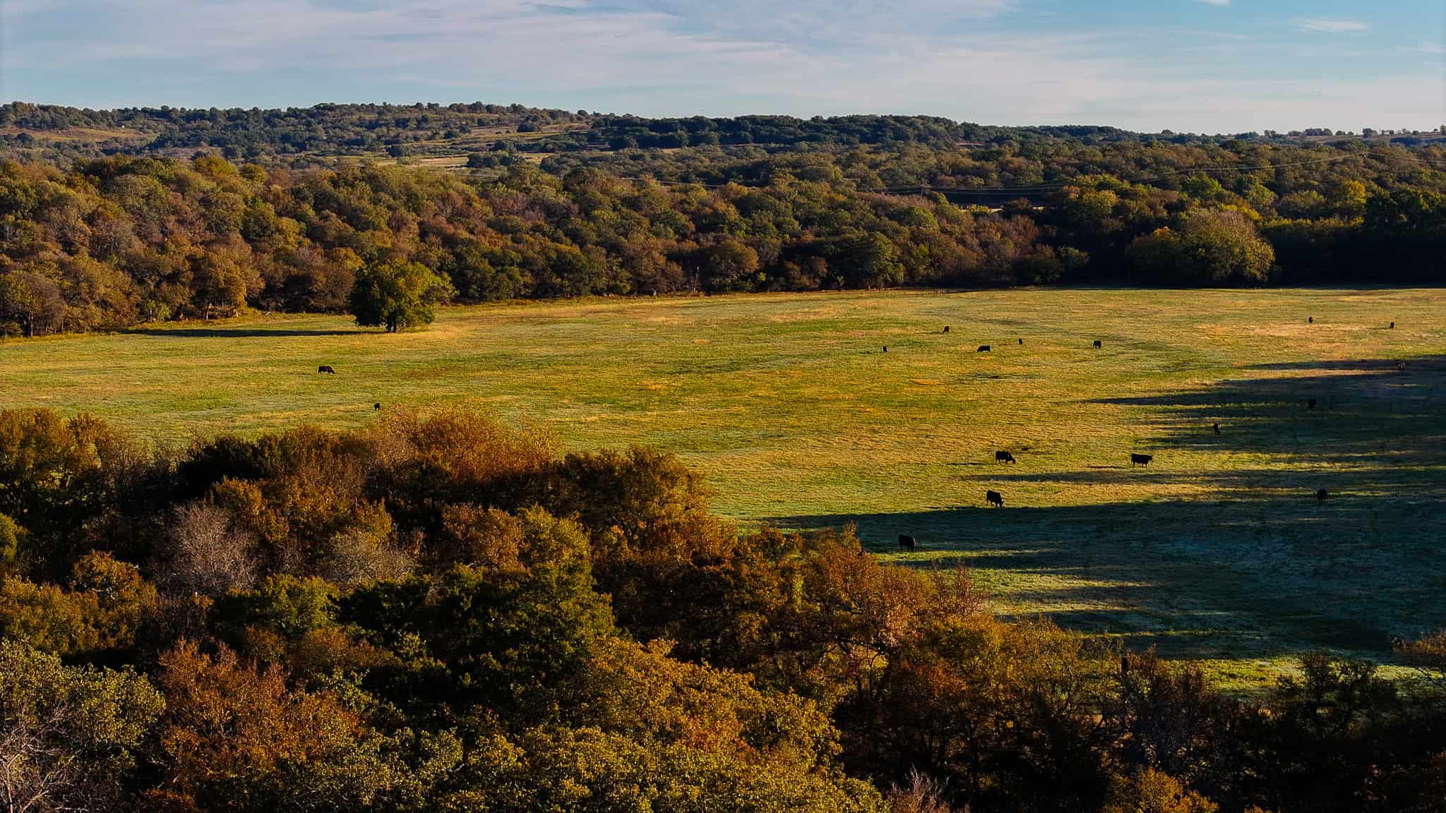 985 acre Hunting and Cattle Ranch in Jack County Texas