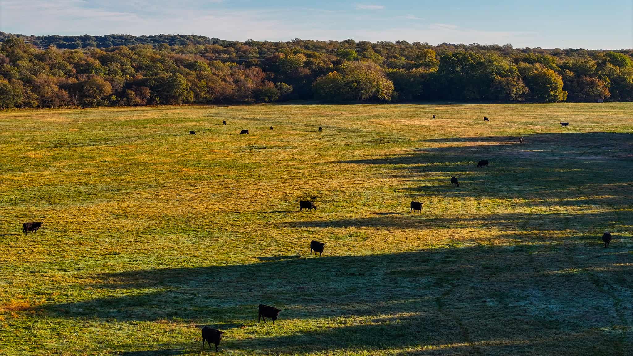 985 acre Hunting and Cattle Ranch in Jack County Texas
