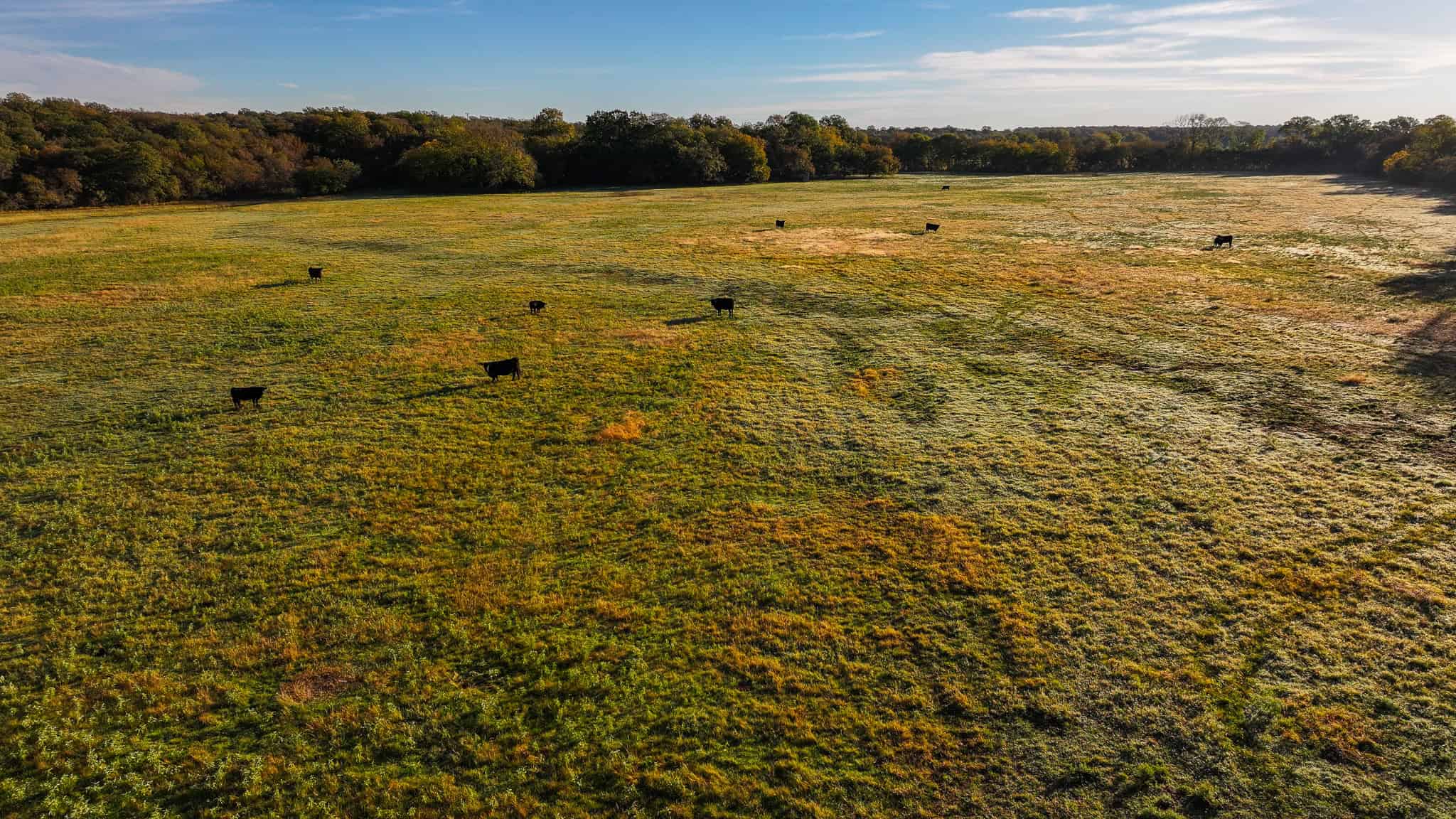 985 acre Hunting and Cattle Ranch in Jack County Texas