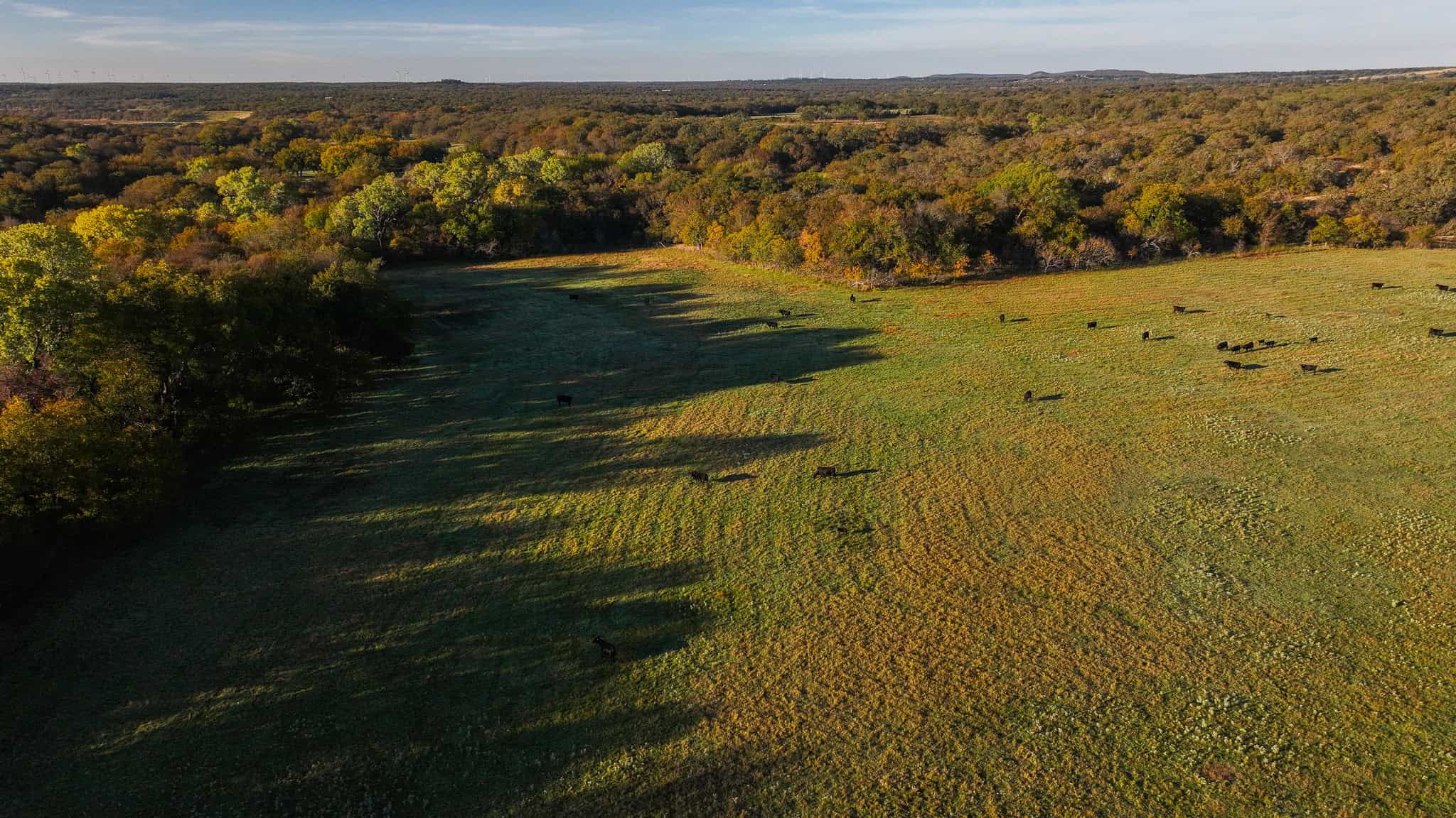 985 acre Hunting and Cattle Ranch in Jack County Texas