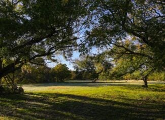 985 acre Hunting and Cattle Ranch in Jack County Texas