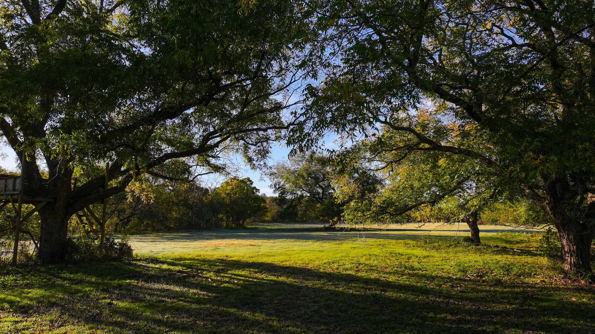 985 acre Hunting and Cattle Ranch in Jack County Texas