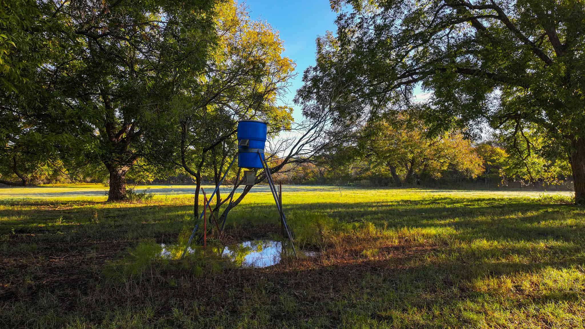 985 acre Hunting and Cattle Ranch in Jack County Texas