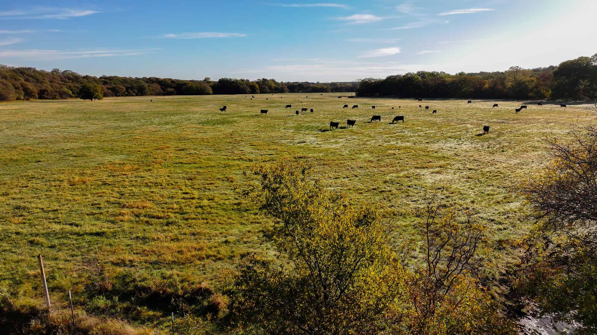 985 acre Hunting and Cattle Ranch in Jack County Texas