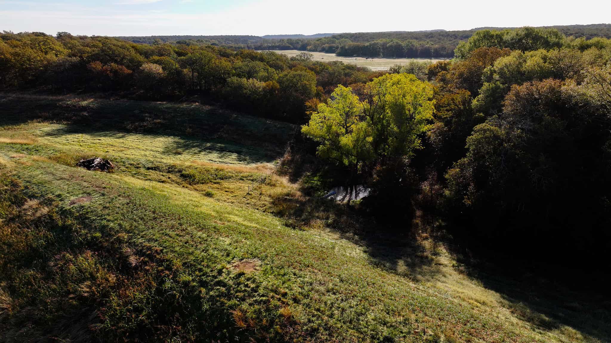 985 acre Hunting and Cattle Ranch in Jack County Texas