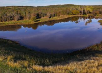 985 acre Hunting and Cattle Ranch in Jack County Texas