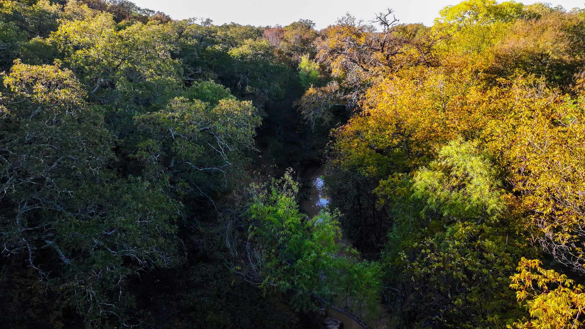 985 acre Hunting and Cattle Ranch in Jack County Texas