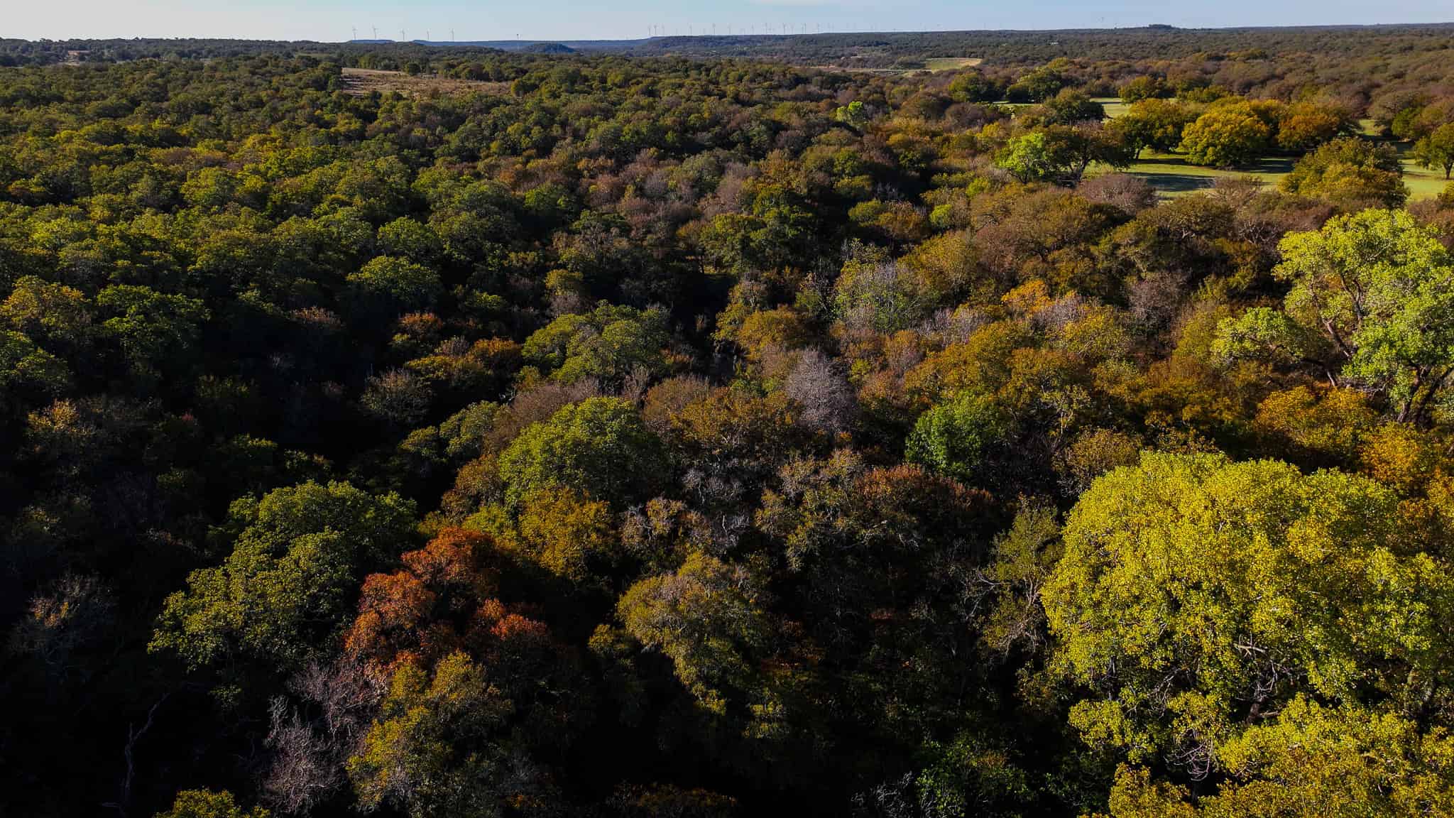 985 acre Hunting and Cattle Ranch in Jack County Texas