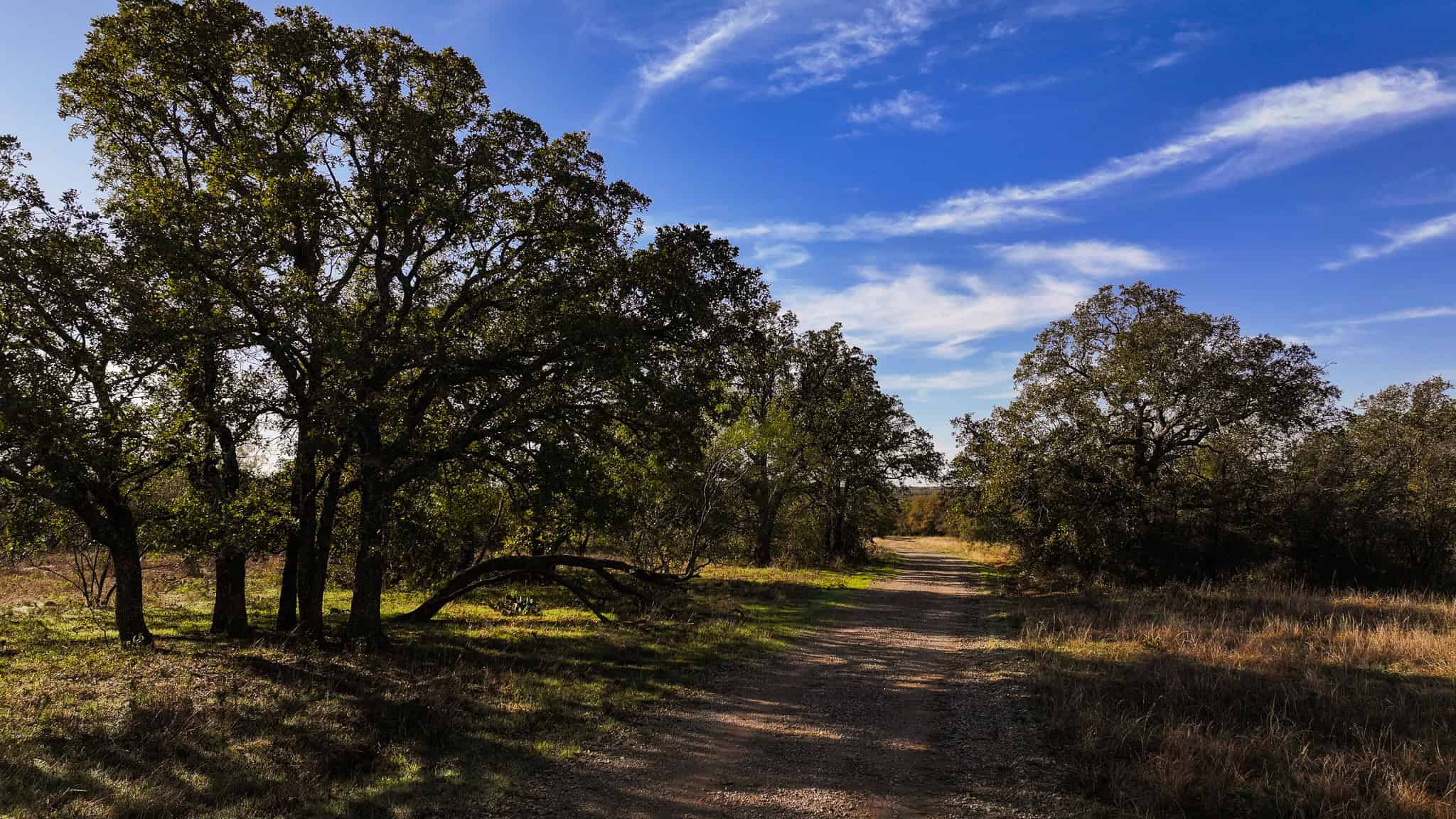 985 acre Hunting and Cattle Ranch in Jack County Texas