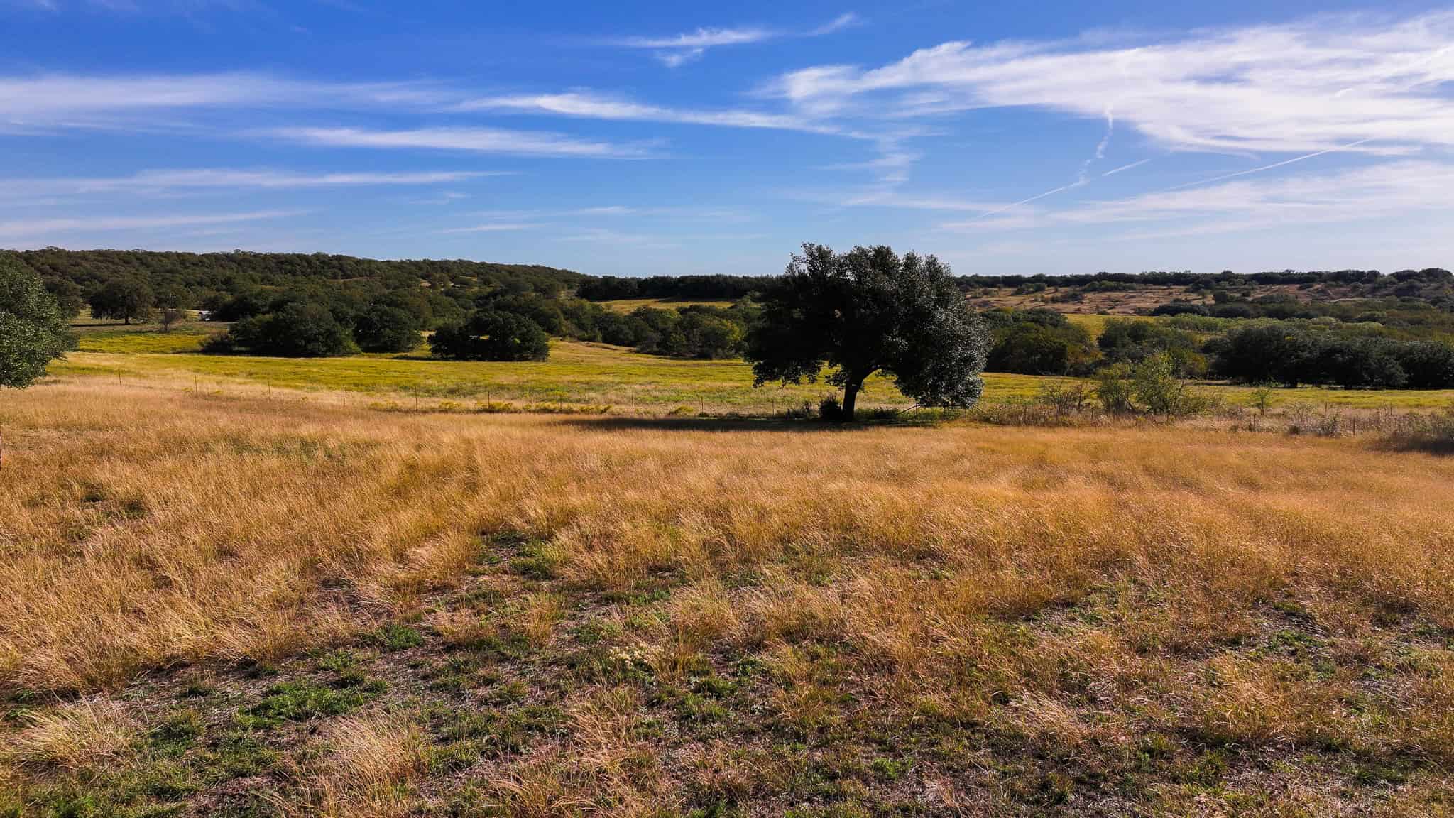 985 acre Hunting and Cattle Ranch in Jack County Texas