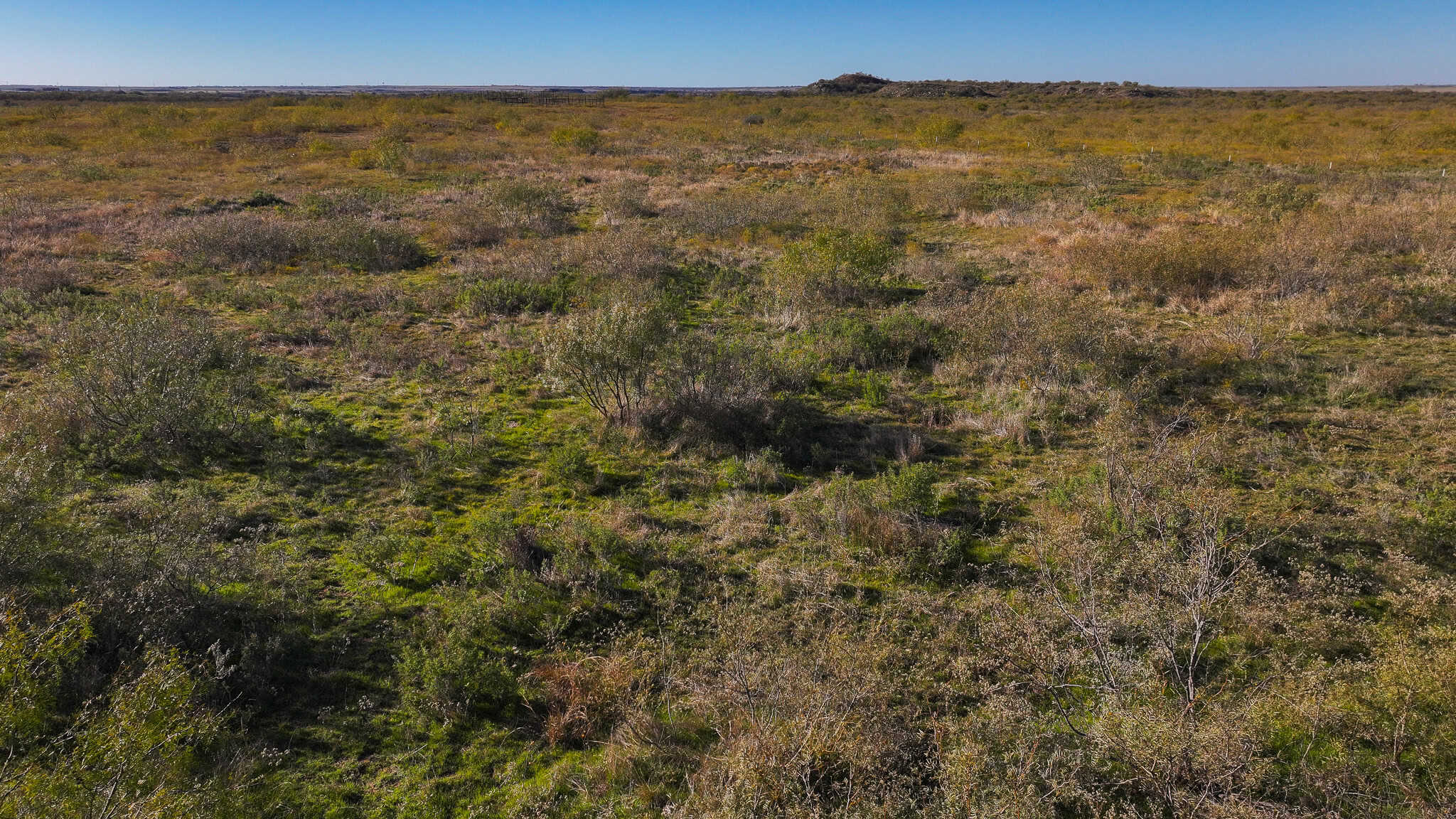 962 ac Exceptional Hunting & Livestock Opportunity in Archer County Texas