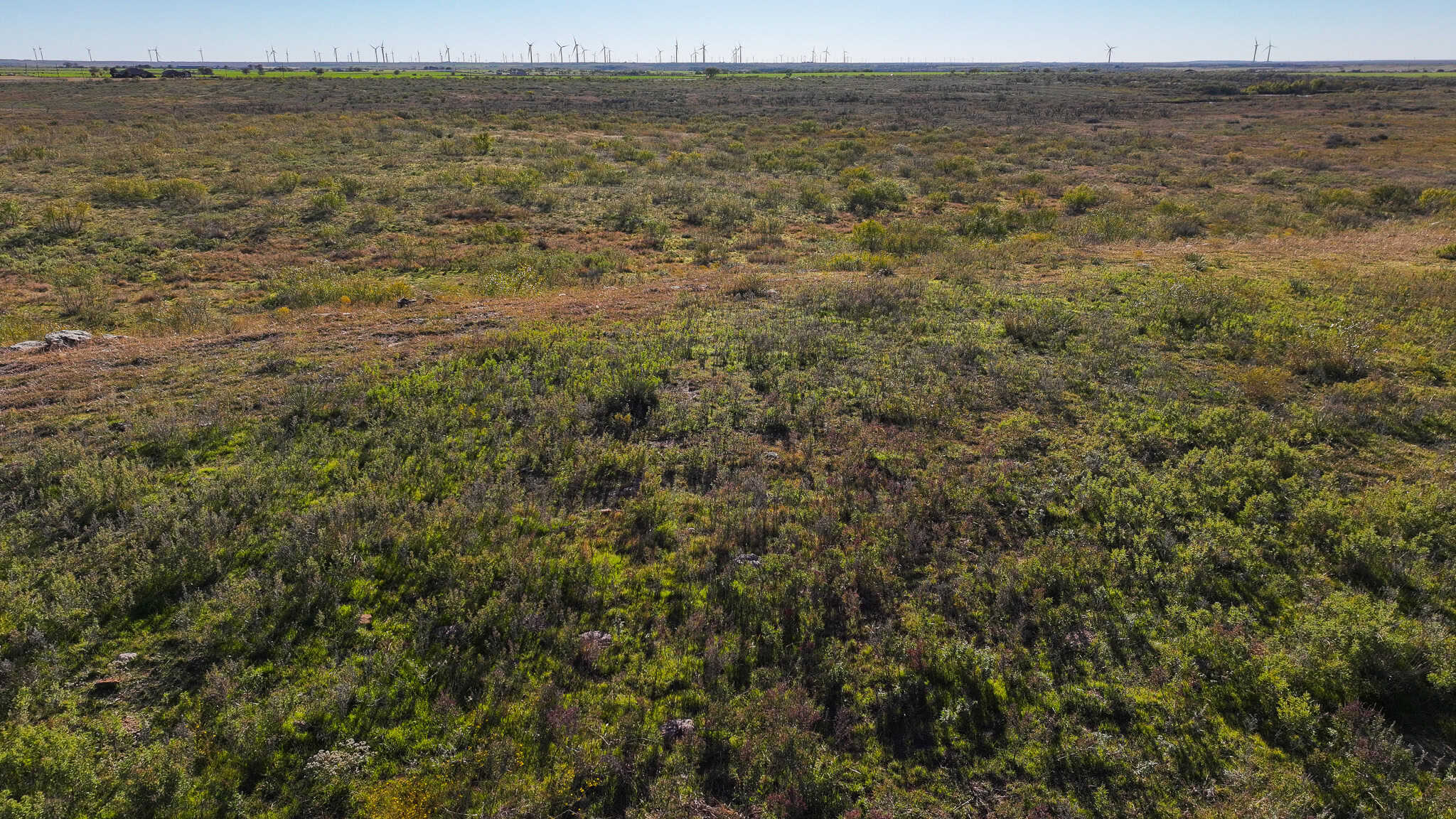 962 ac Exceptional Hunting & Livestock Opportunity in Archer County Texas