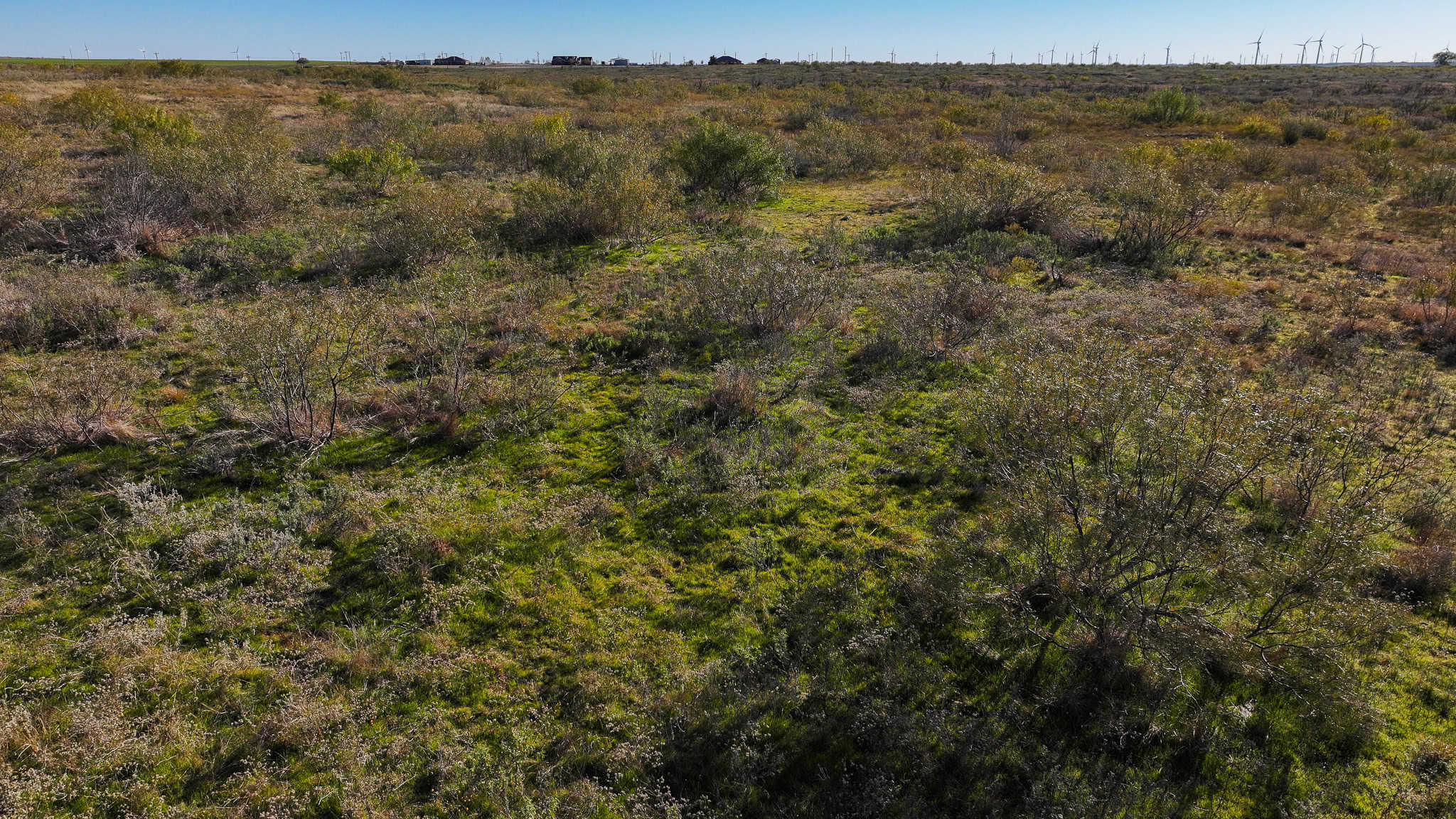962 ac Exceptional Hunting & Livestock Opportunity in Archer County Texas