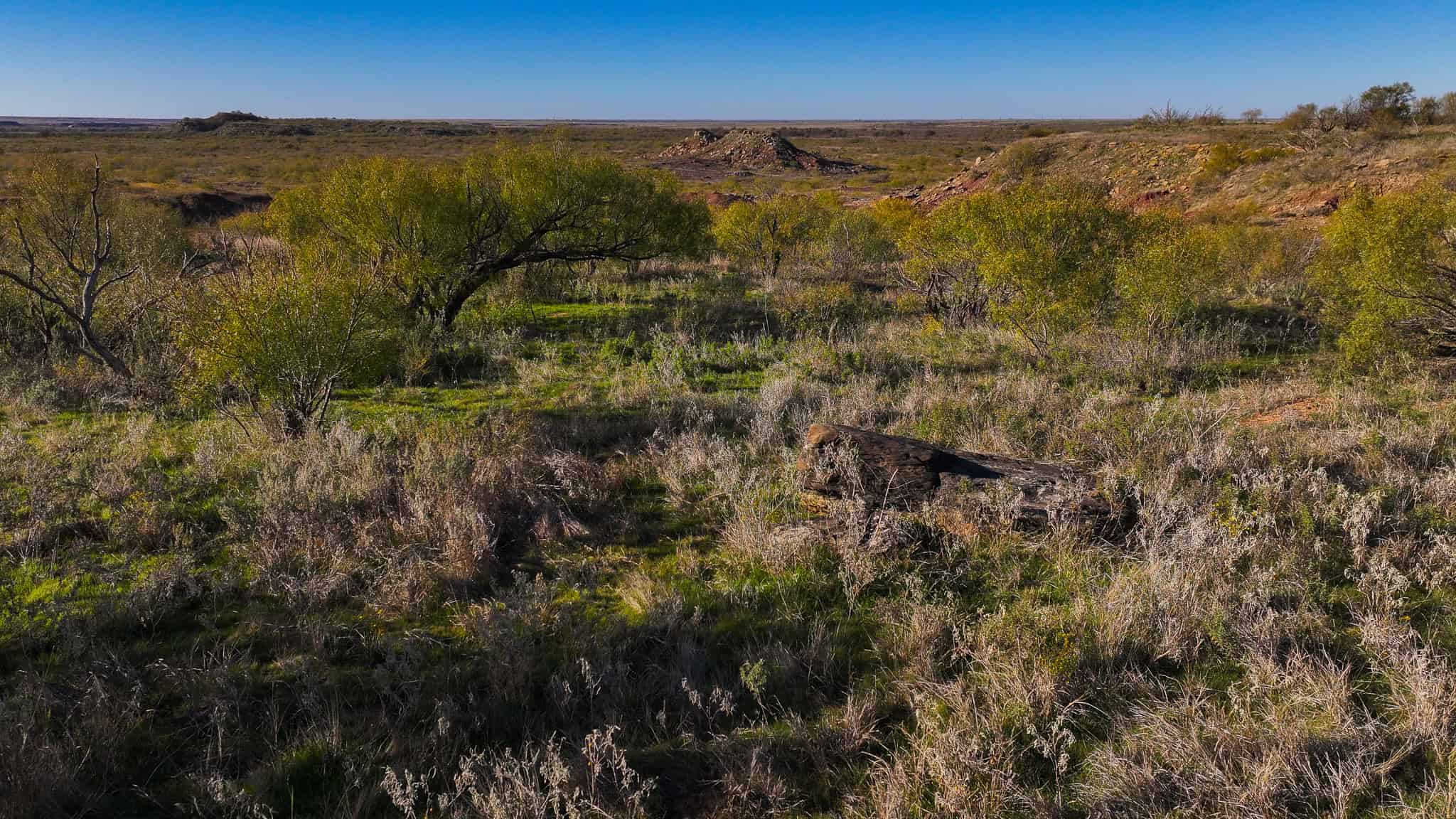 962 ac Exceptional Hunting & Livestock Opportunity in Archer County Texas