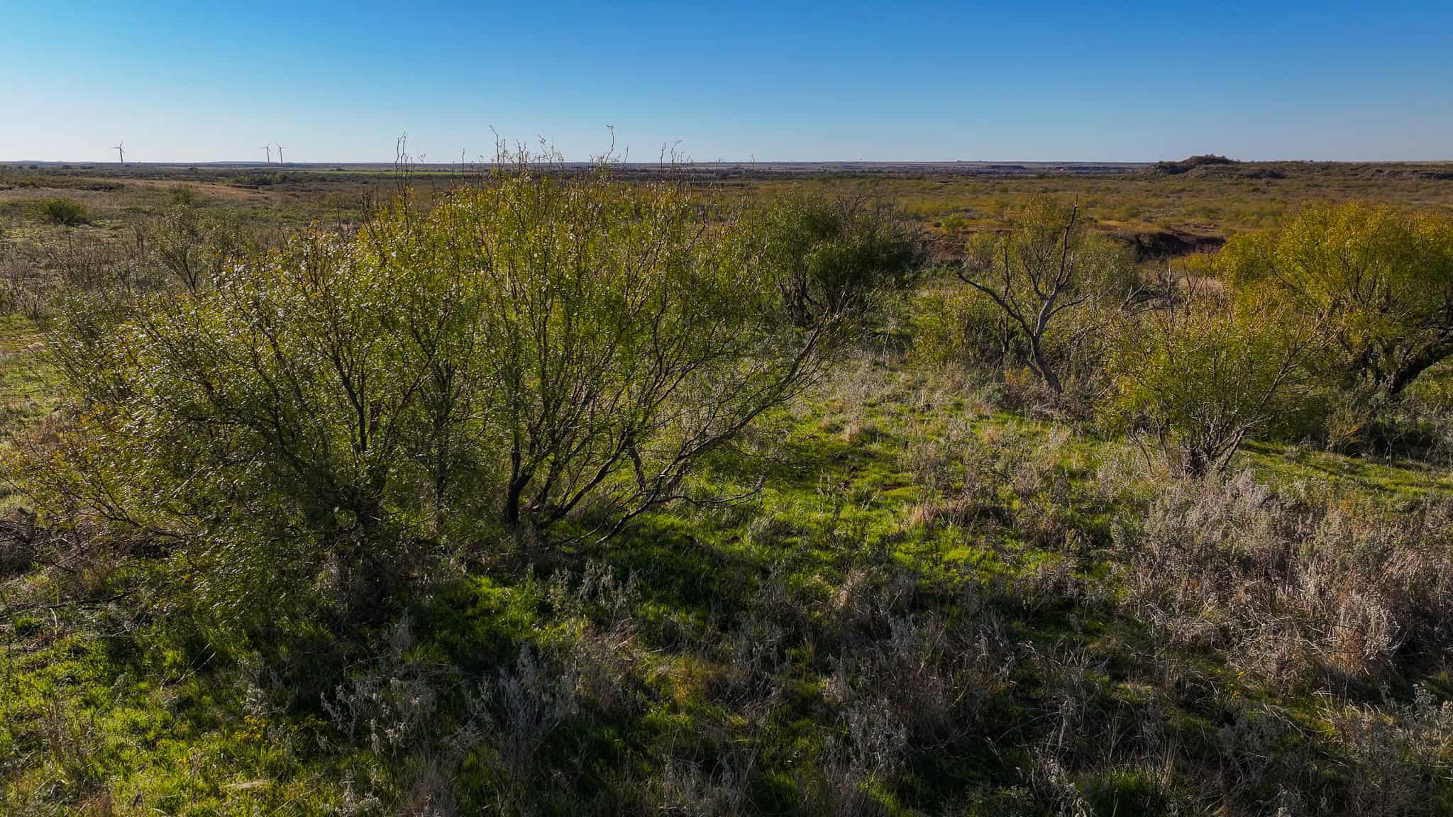 962 ac Exceptional Hunting & Livestock Opportunity in Archer County Texas
