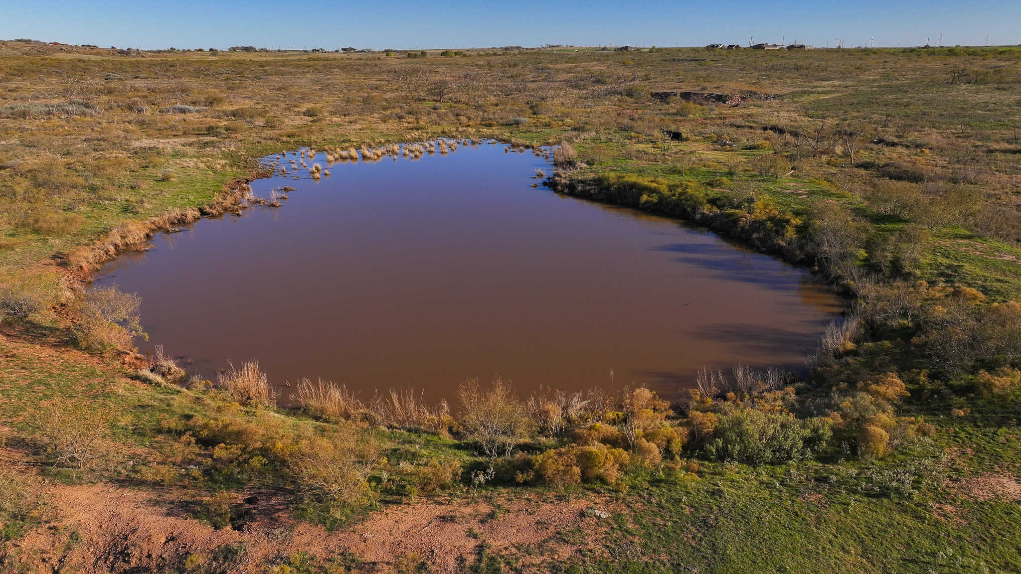 962 ac Exceptional Hunting & Livestock Opportunity in Archer County Texas