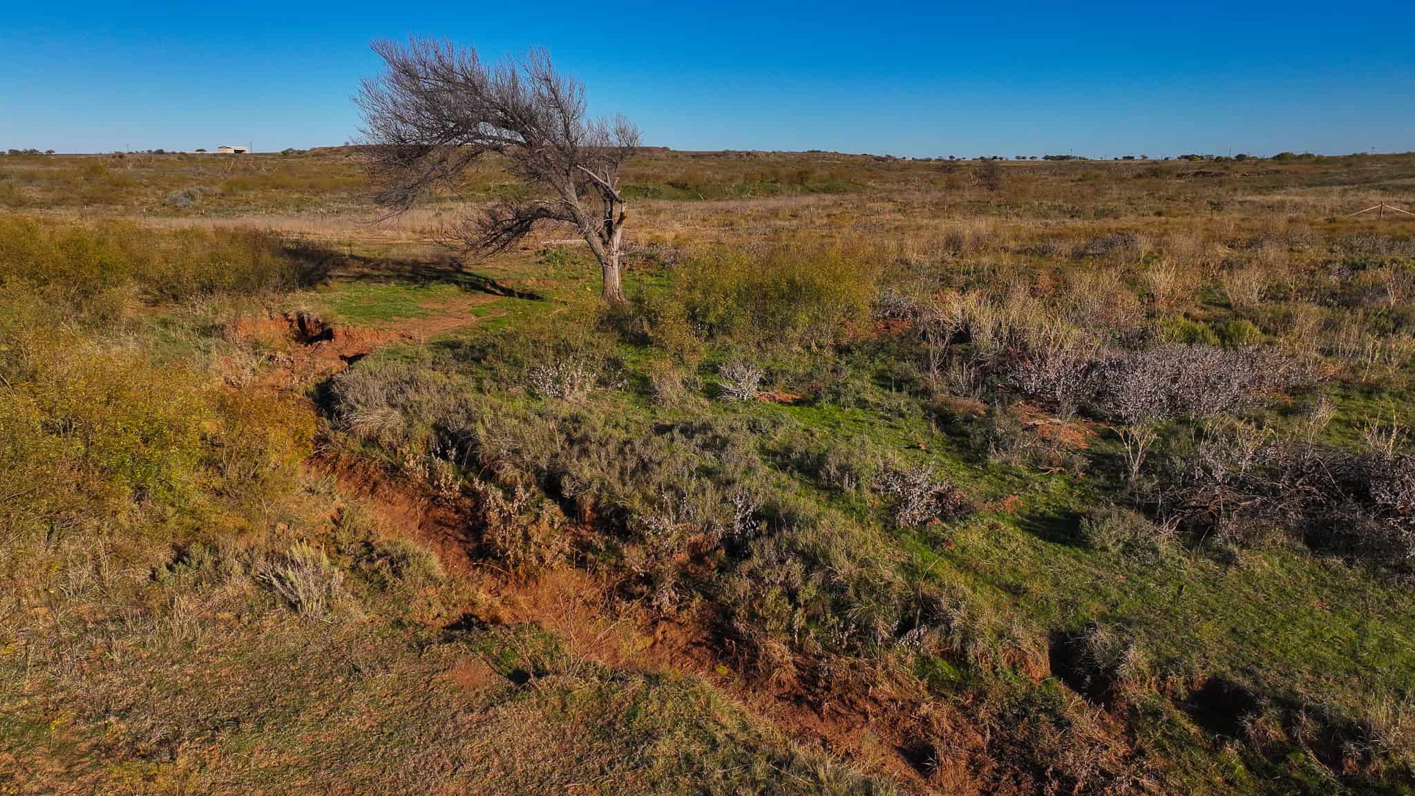 962 ac Exceptional Hunting & Livestock Opportunity in Archer County Texas