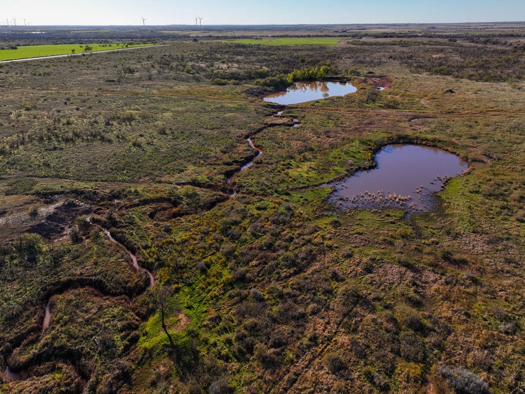 962 ac Exceptional Hunting & Livestock Opportunity in Archer County Texas