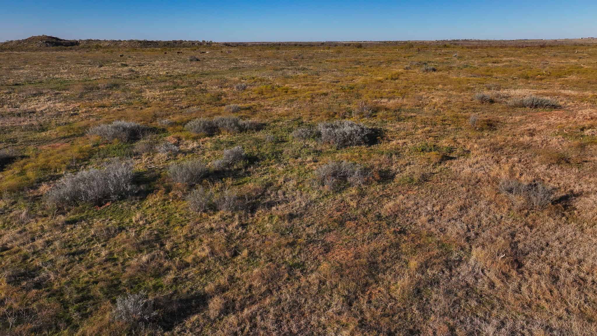 962 ac Exceptional Hunting & Livestock Opportunity in Archer County Texas