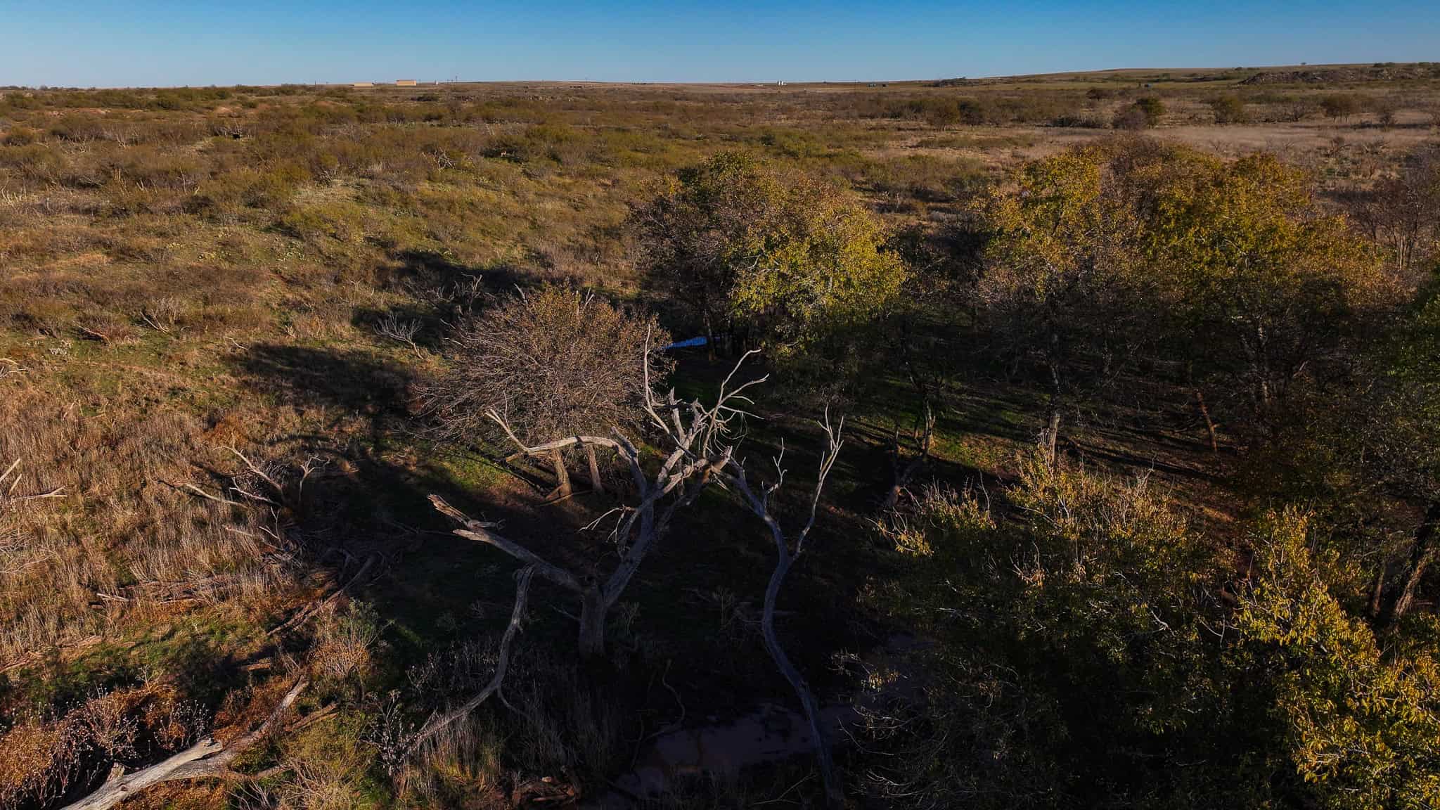 962 ac Exceptional Hunting & Livestock Opportunity in Archer County Texas