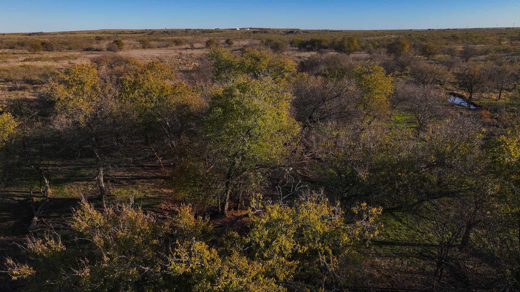 962 ac Exceptional Hunting & Livestock Opportunity in Archer County Texas