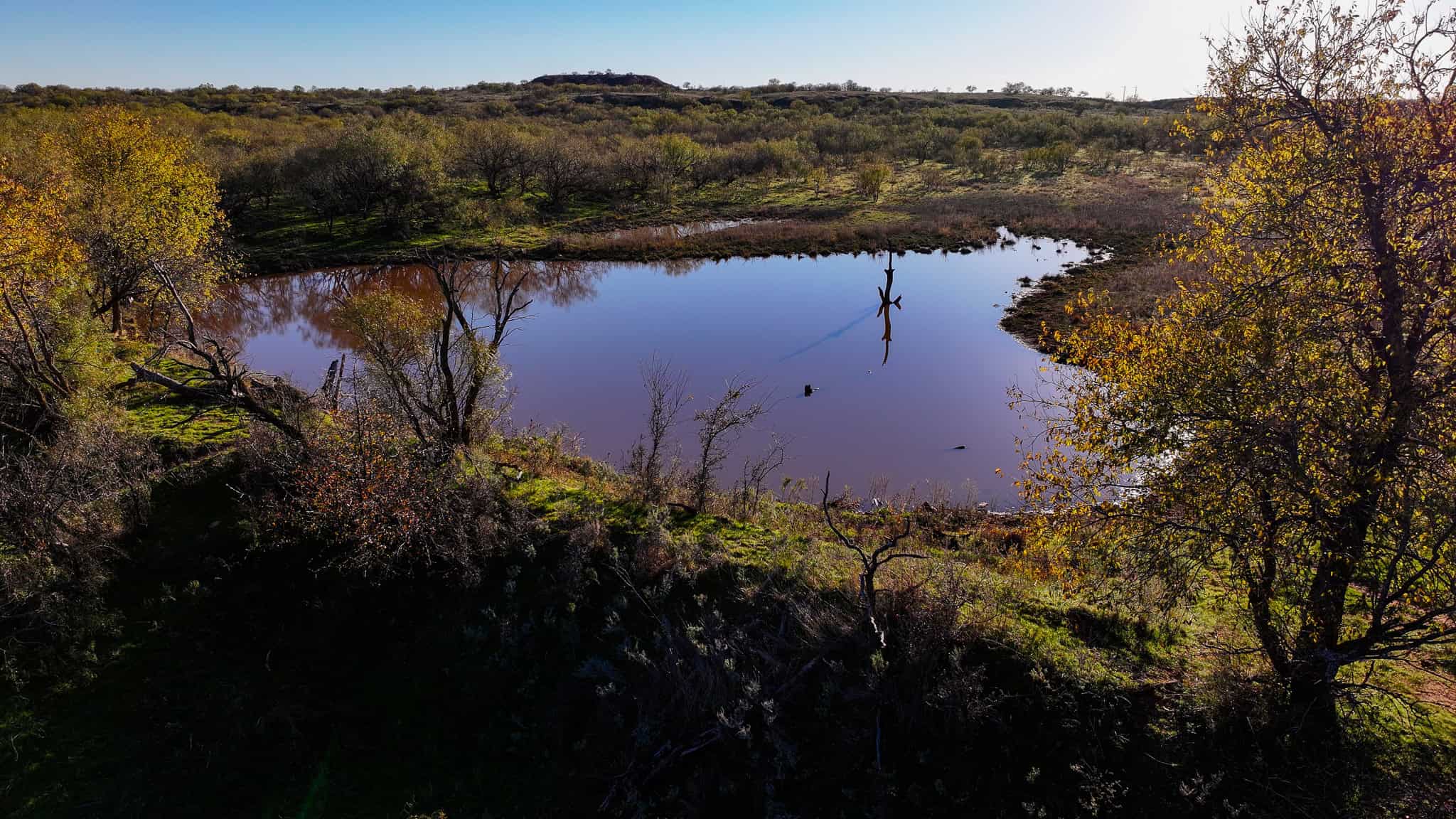 962 ac Exceptional Hunting & Livestock Opportunity in Archer County Texas