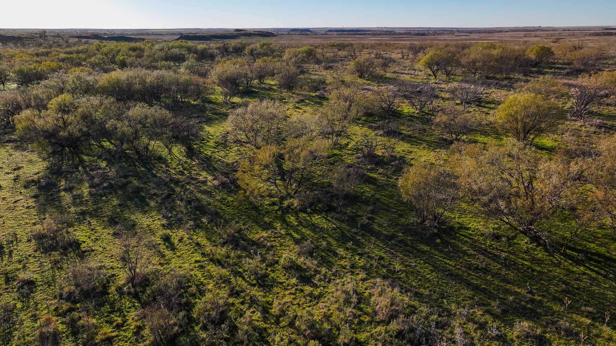 962 ac Exceptional Hunting & Livestock Opportunity in Archer County Texas