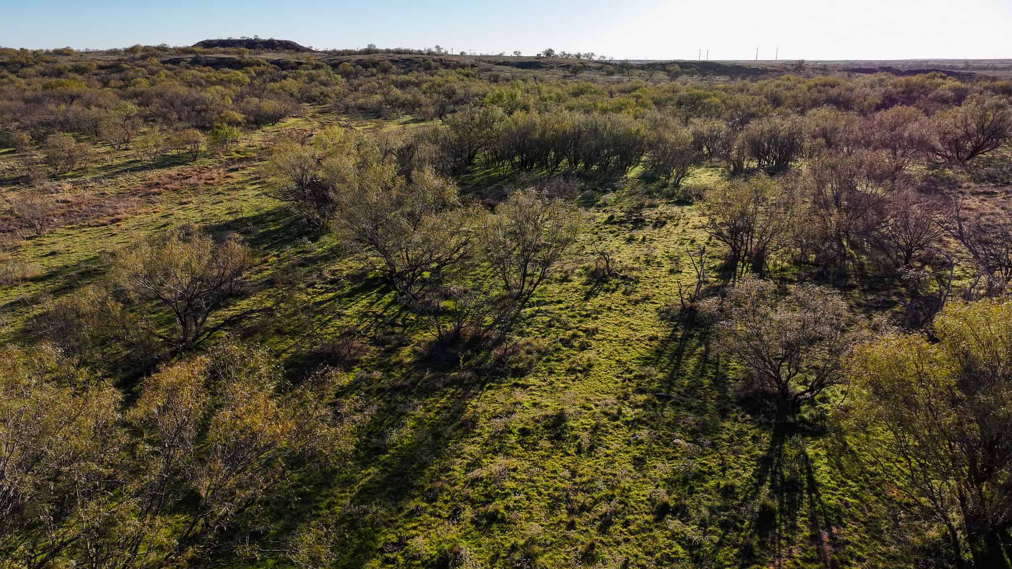 962 ac Exceptional Hunting & Livestock Opportunity in Archer County Texas