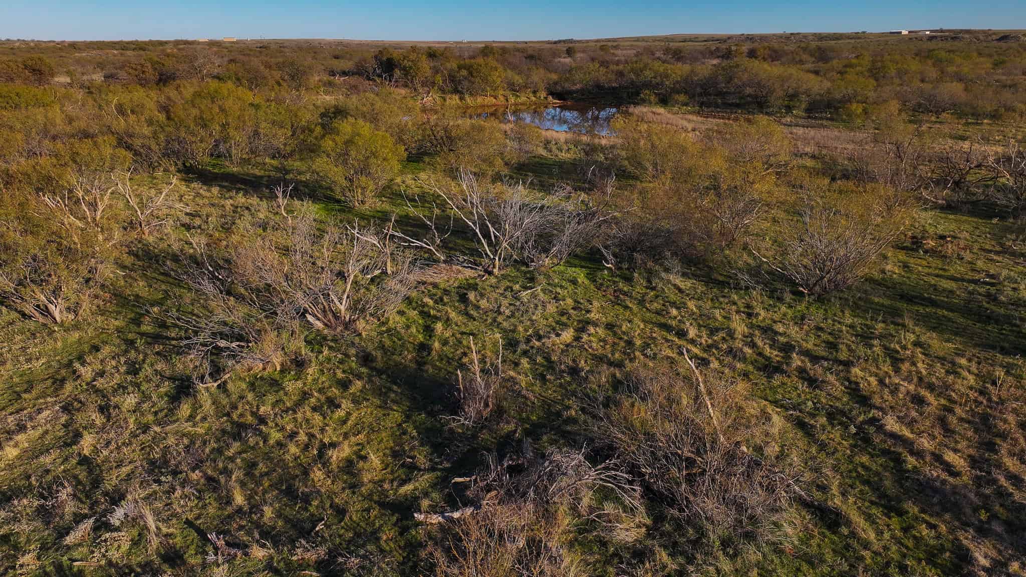 962 ac Exceptional Hunting & Livestock Opportunity in Archer County Texas