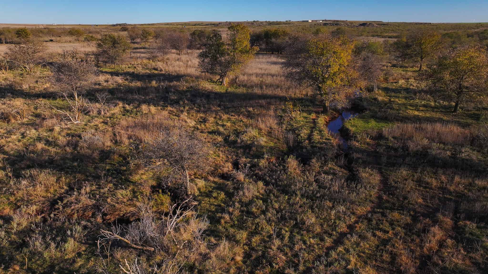 962 ac Exceptional Hunting & Livestock Opportunity in Archer County Texas