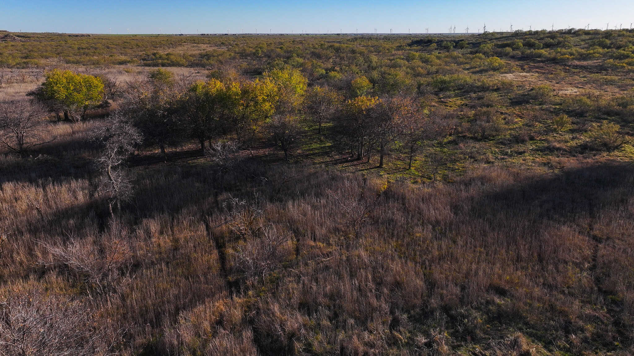 962 ac Exceptional Hunting & Livestock Opportunity in Archer County Texas
