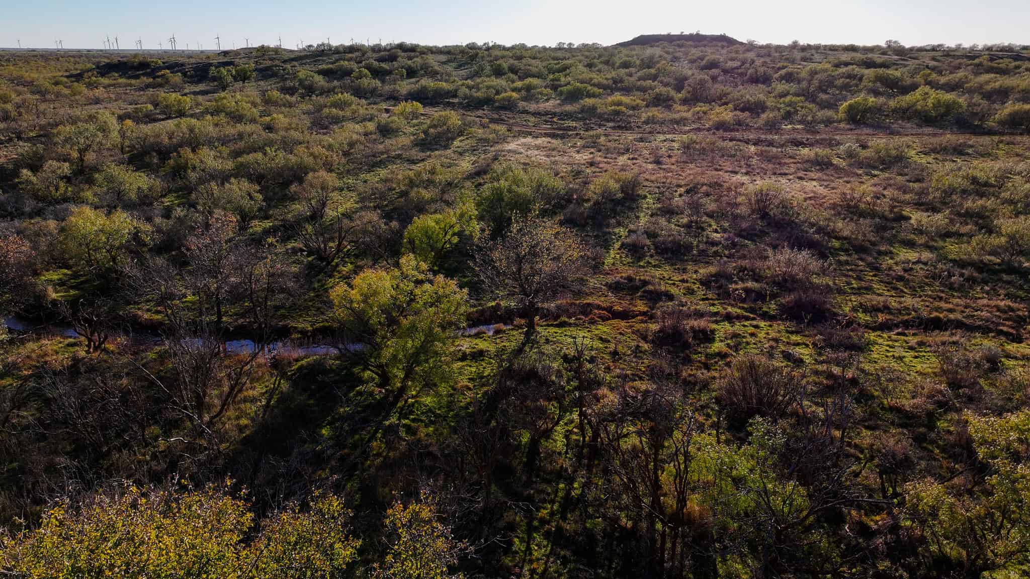 962 ac Exceptional Hunting & Livestock Opportunity in Archer County Texas