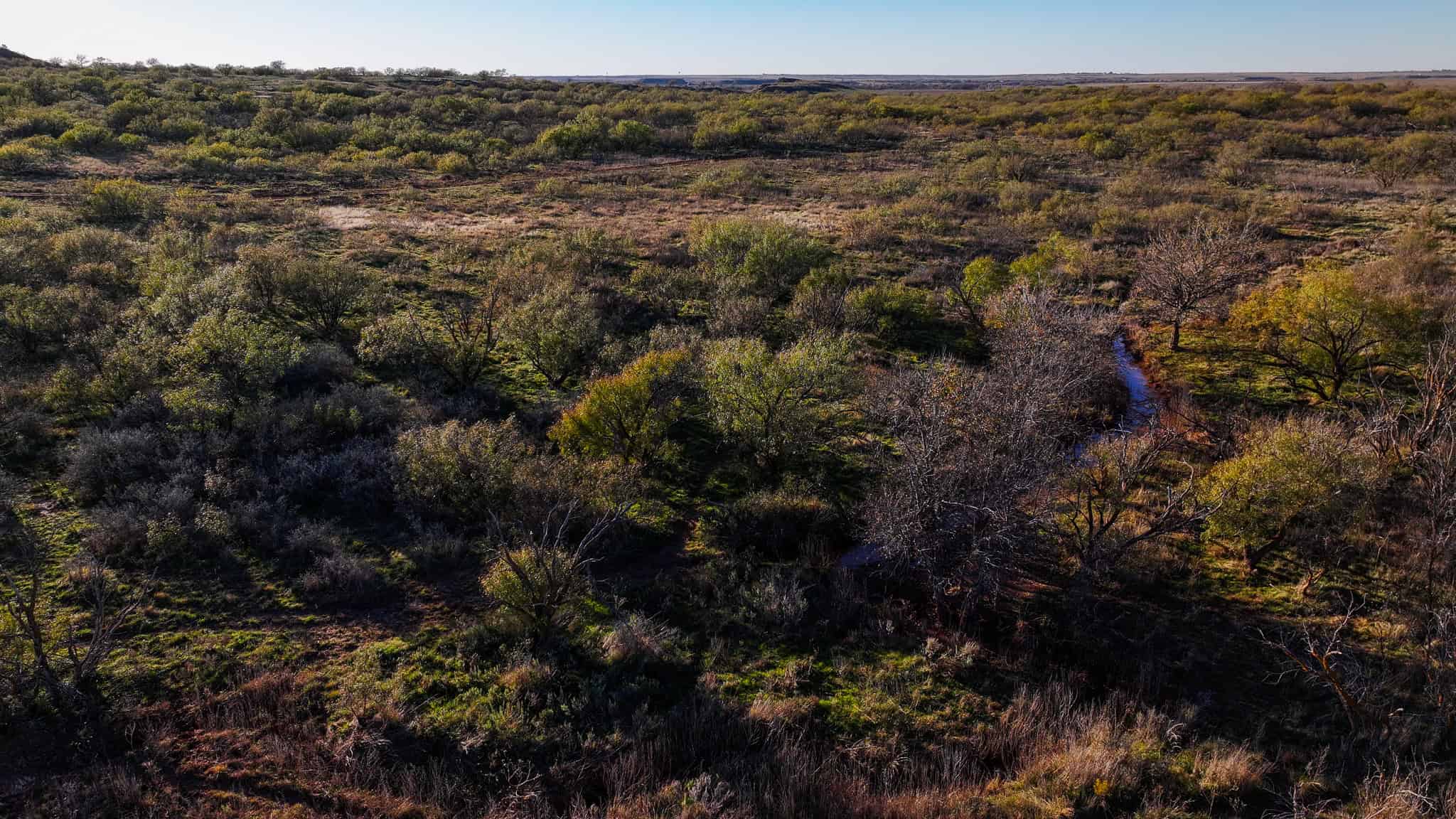 962 ac Exceptional Hunting & Livestock Opportunity in Archer County Texas