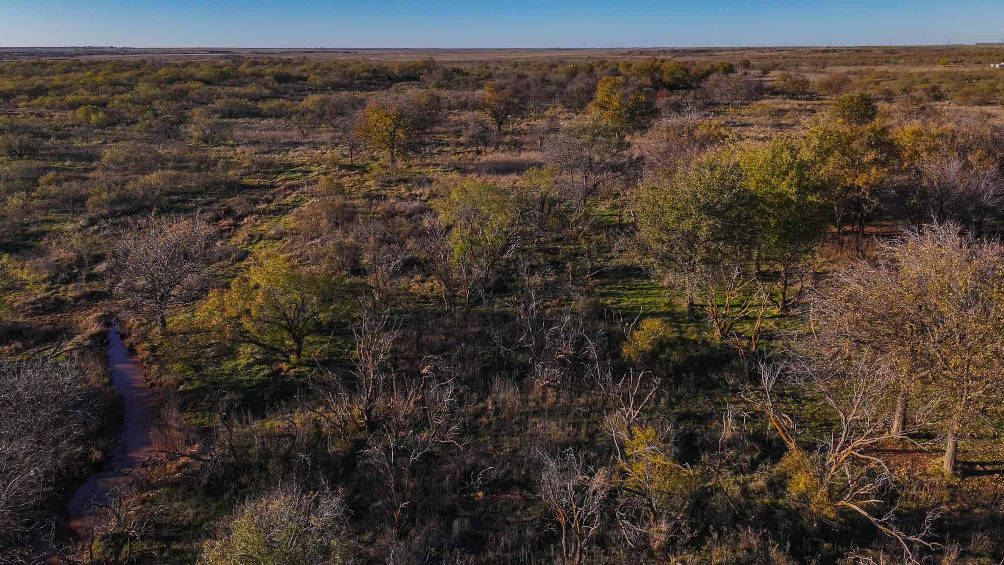 962 ac Exceptional Hunting & Livestock Opportunity in Archer County Texas